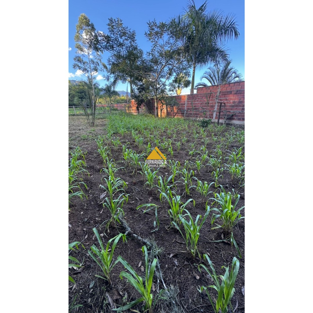 Sítio / Chácara 3 quartos para Venda no bairro Arroio da Bica em Nova Hartz