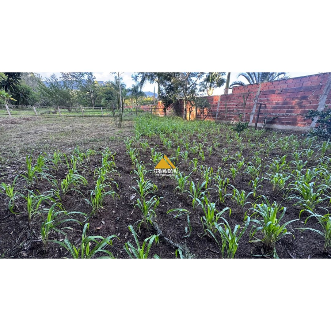 Sítio / Chácara 3 quartos para Venda no bairro Arroio da Bica em Nova Hartz