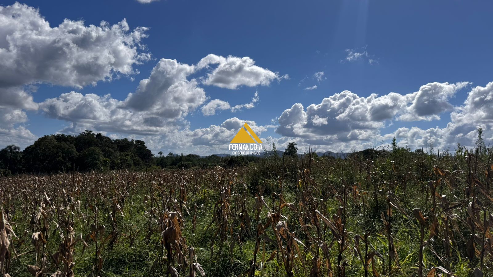 Sítio / Chácara 2 quartos para Venda no bairro Zona Rural em Sapiranga
