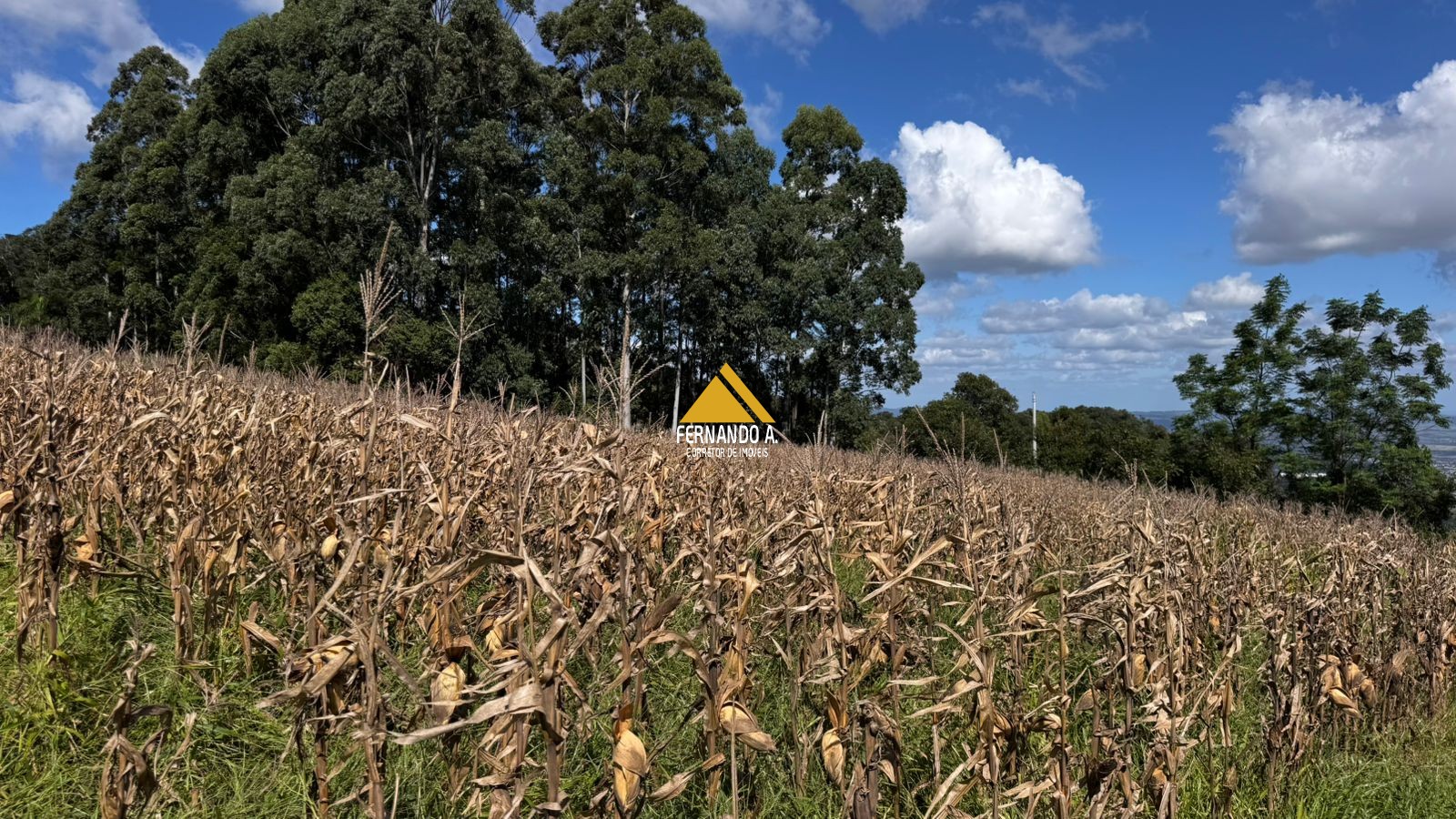 Sítio / Chácara 2 quartos para Venda no bairro Zona Rural em Sapiranga
