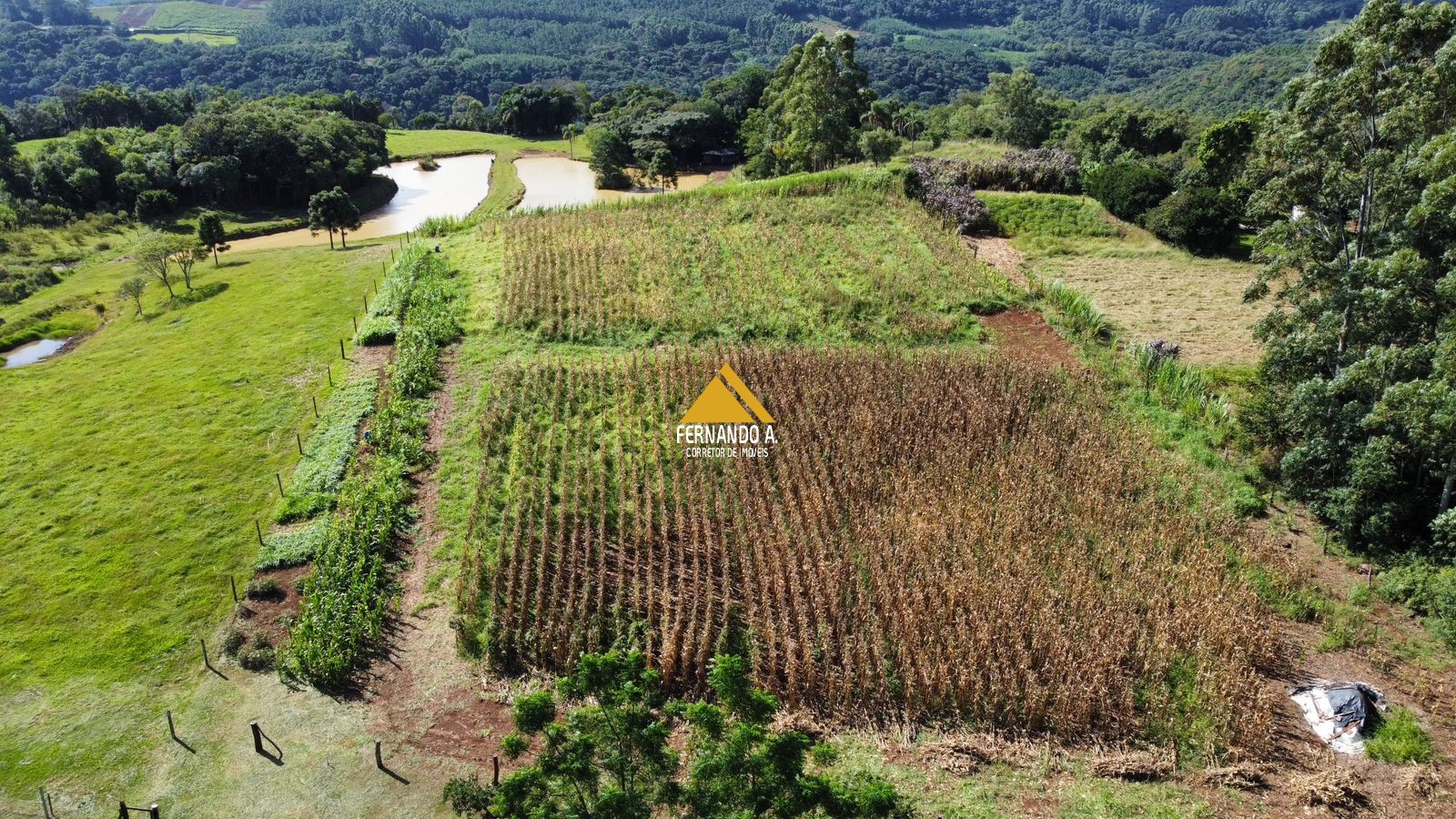 Sítio / Chácara 2 quartos para Venda no bairro Zona Rural em Sapiranga