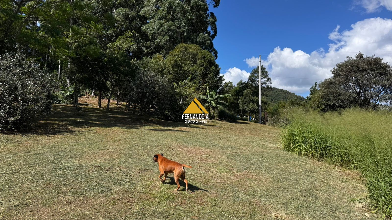 Sítio / Chácara 2 quartos para Venda no bairro Zona Rural em Sapiranga