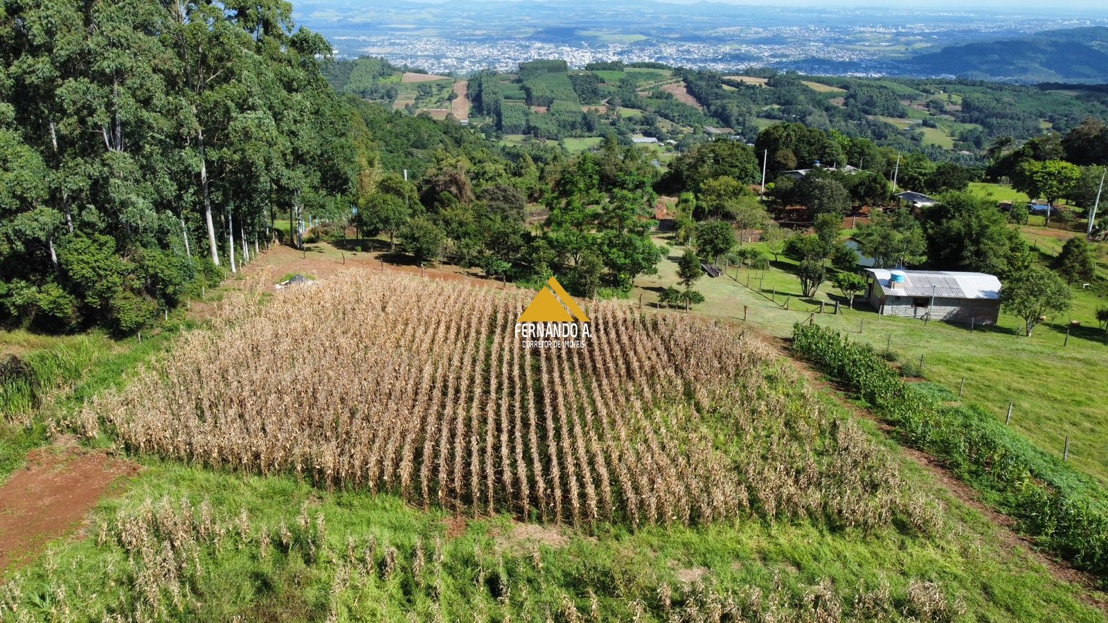 Sítio / Chácara 2 quartos para Venda no bairro Zona Rural em Sapiranga