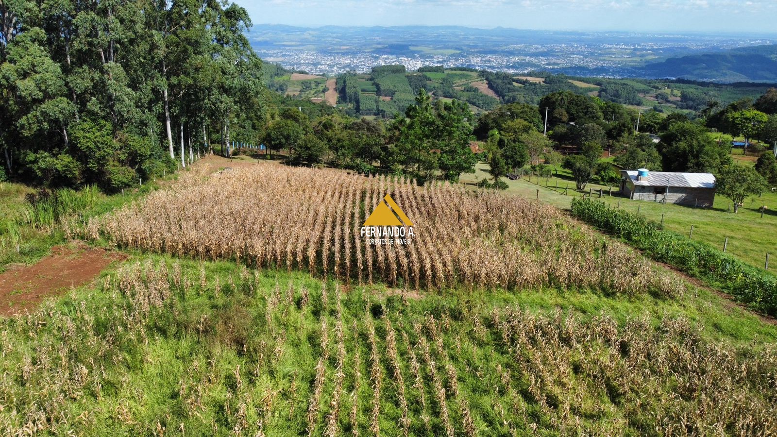 Sítio / Chácara 2 quartos para Venda no bairro Zona Rural em Sapiranga