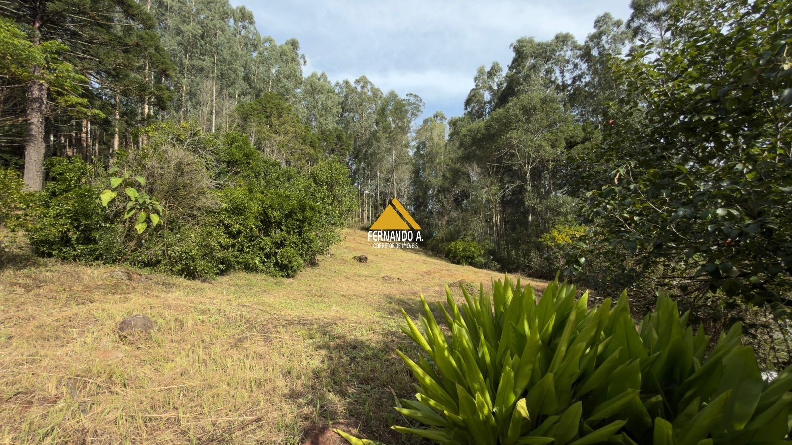 Sítio / Chácara 3 quartos para Venda no bairro Zona Rural em Gramado