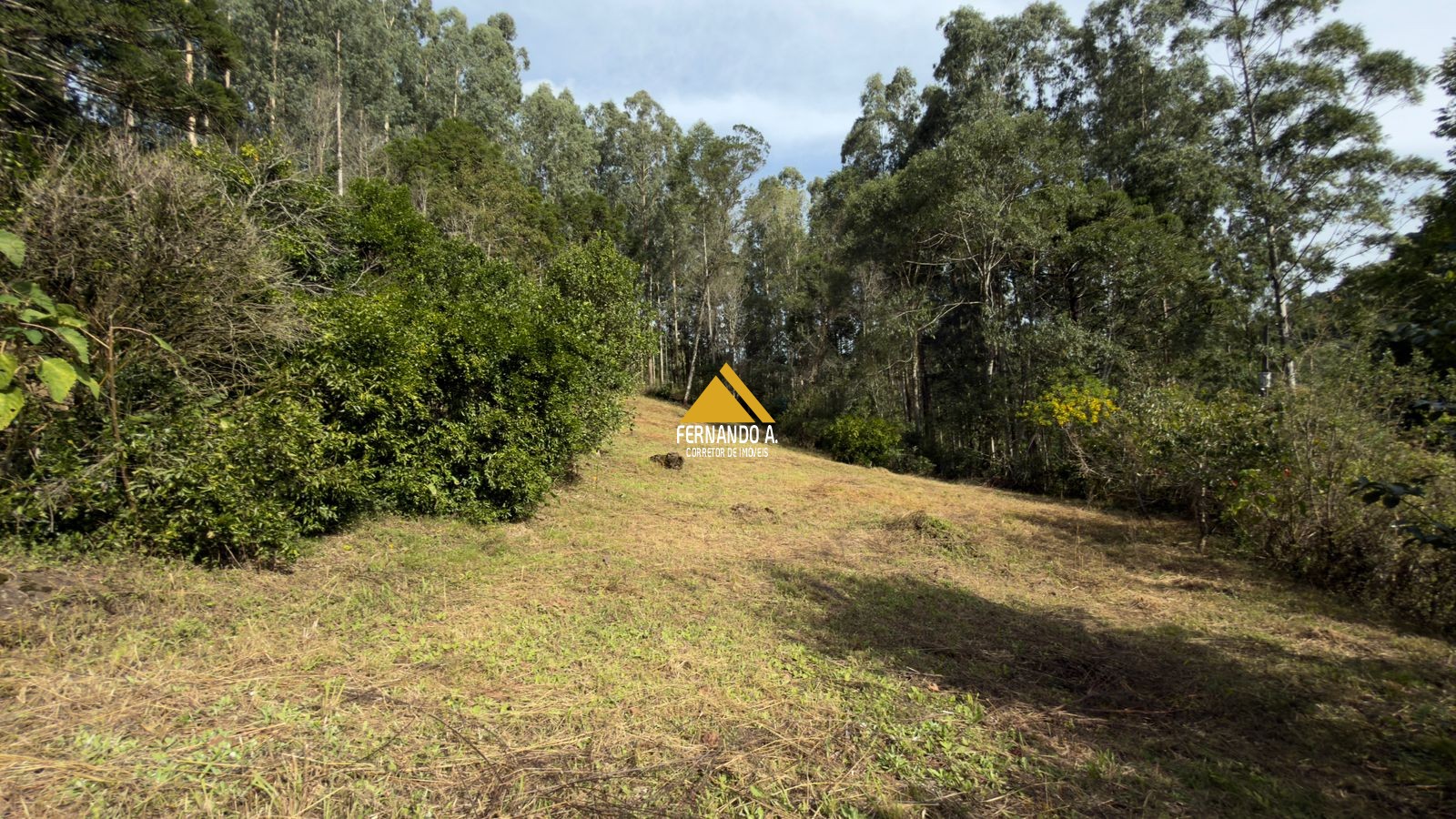 Sítio / Chácara 3 quartos para Venda no bairro Zona Rural em Gramado