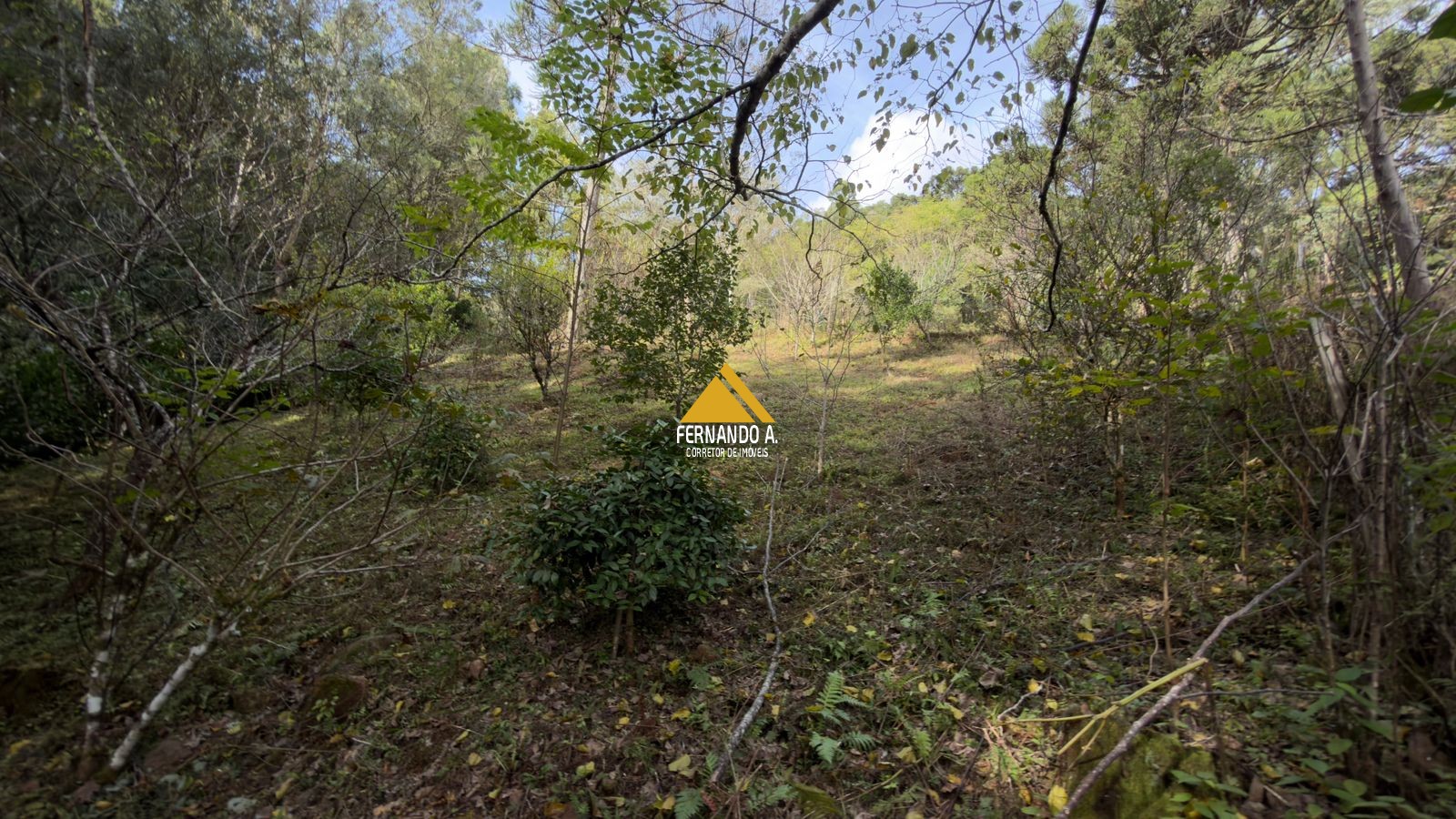 Sítio / Chácara 3 quartos para Venda no bairro Zona Rural em Gramado