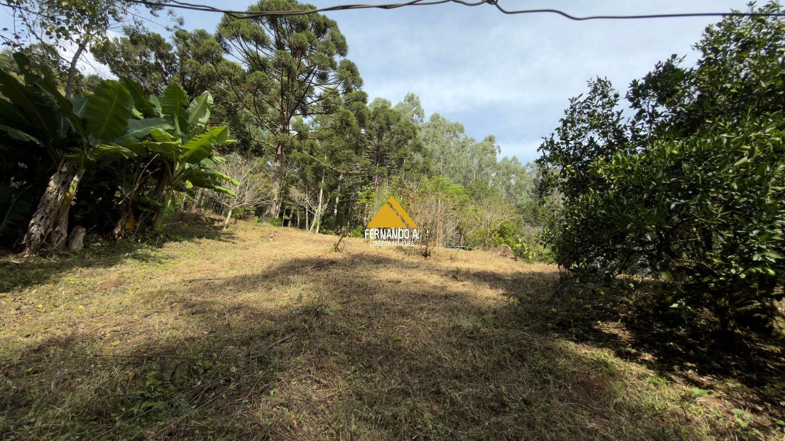 Sítio / Chácara 3 quartos para Venda no bairro Zona Rural em Gramado