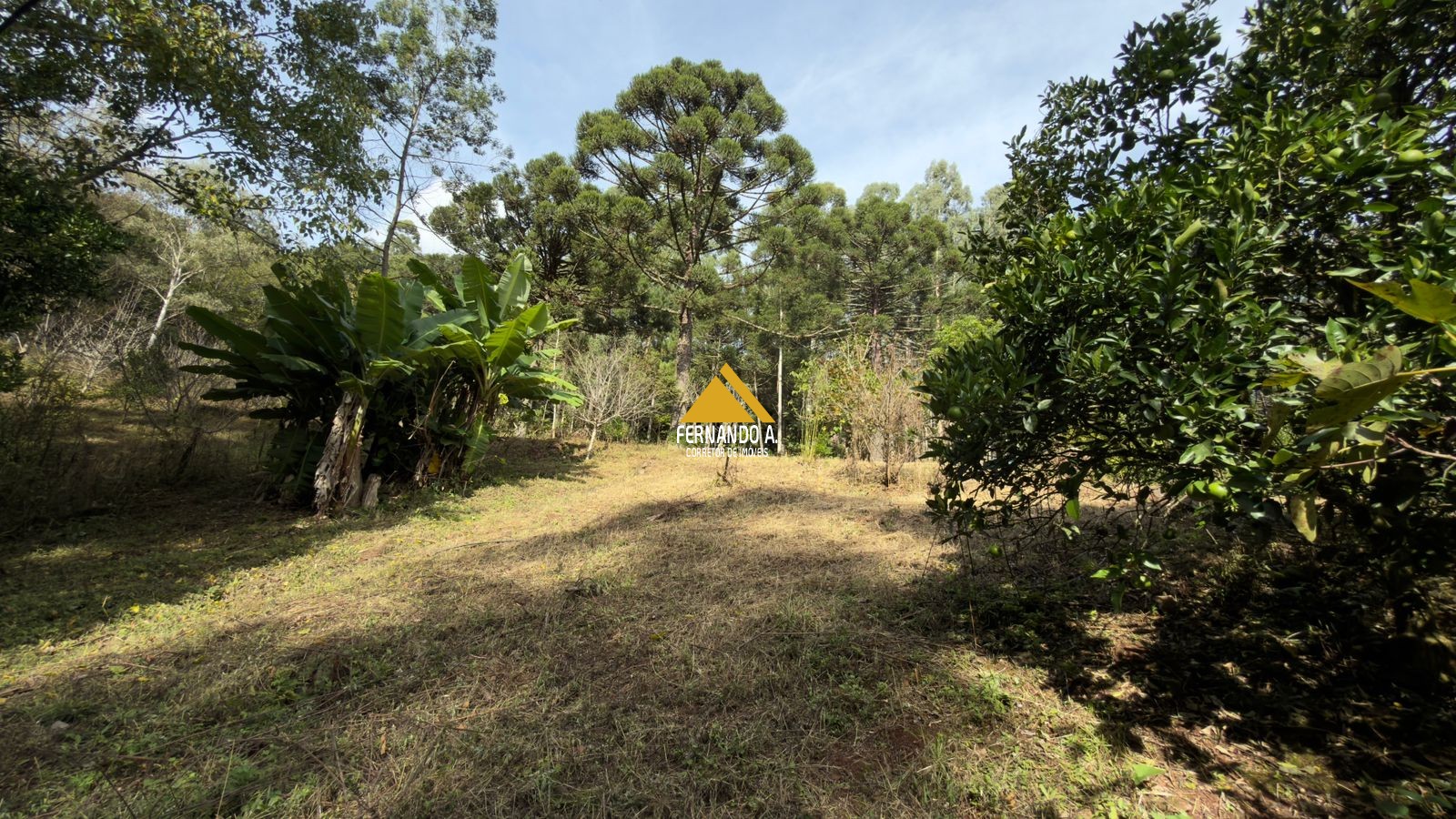 Sítio / Chácara 3 quartos para Venda no bairro Zona Rural em Gramado