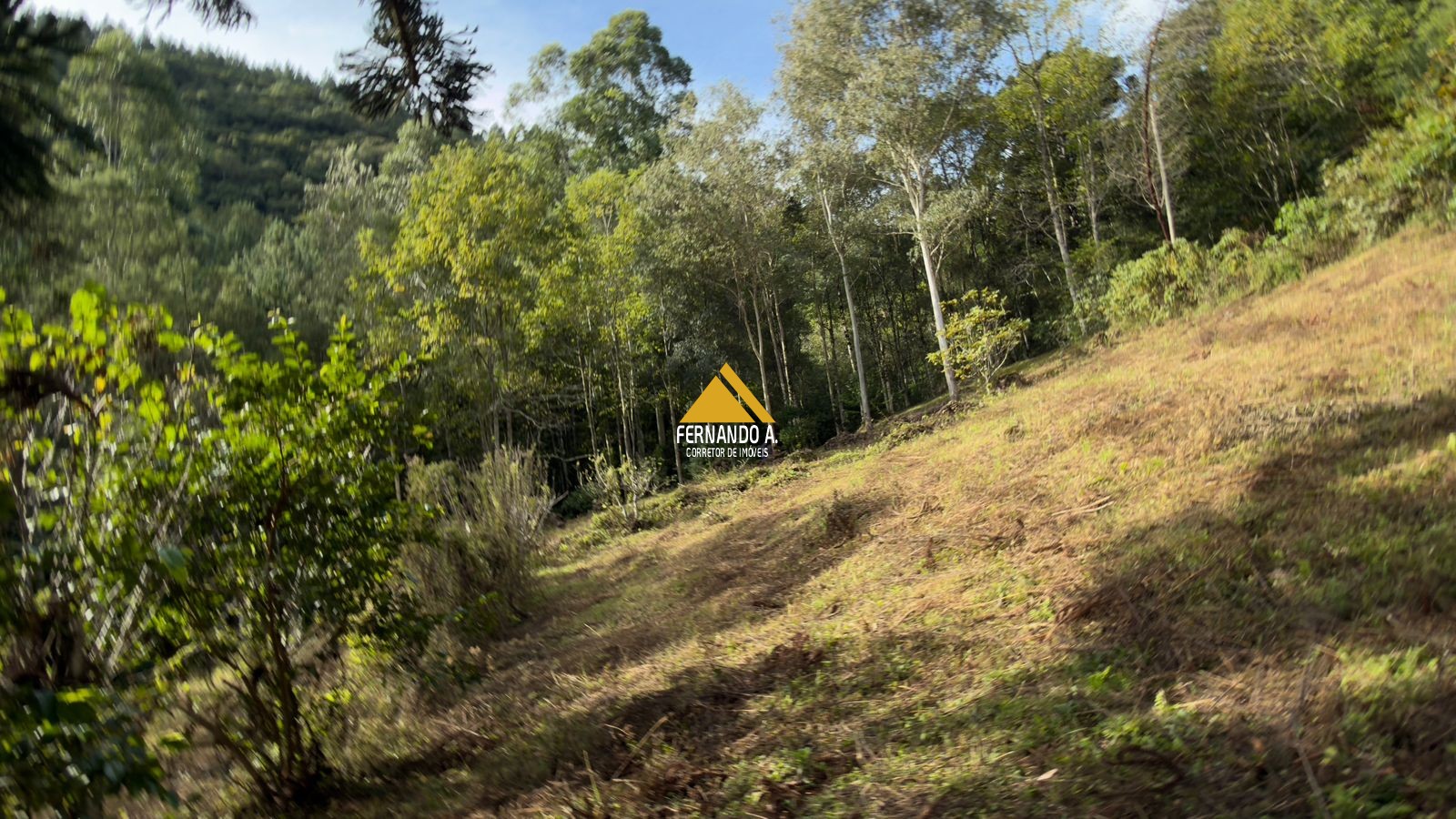Sítio / Chácara 3 quartos para Venda no bairro Zona Rural em Gramado