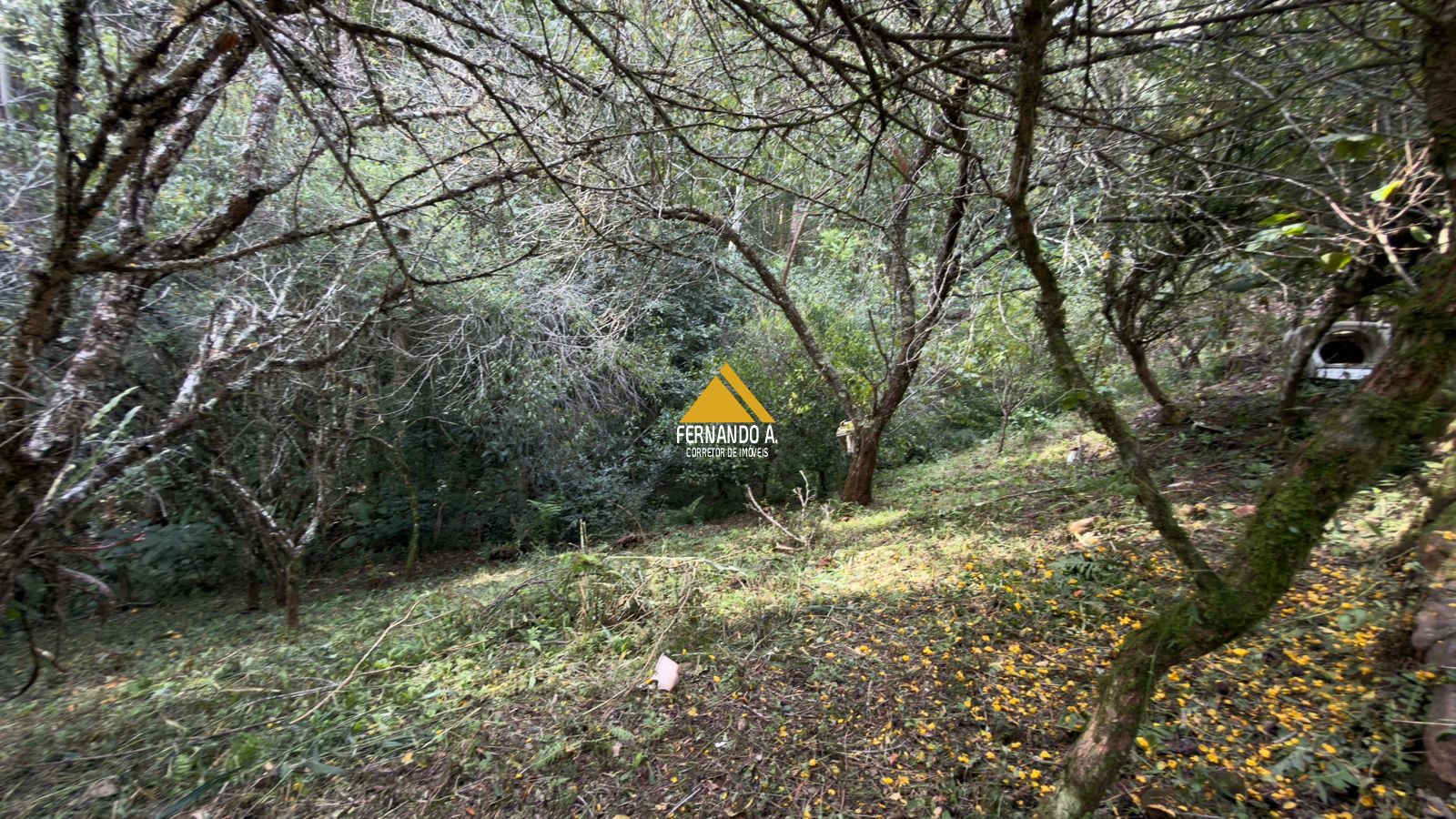 Sítio / Chácara 3 quartos para Venda no bairro Zona Rural em Gramado
