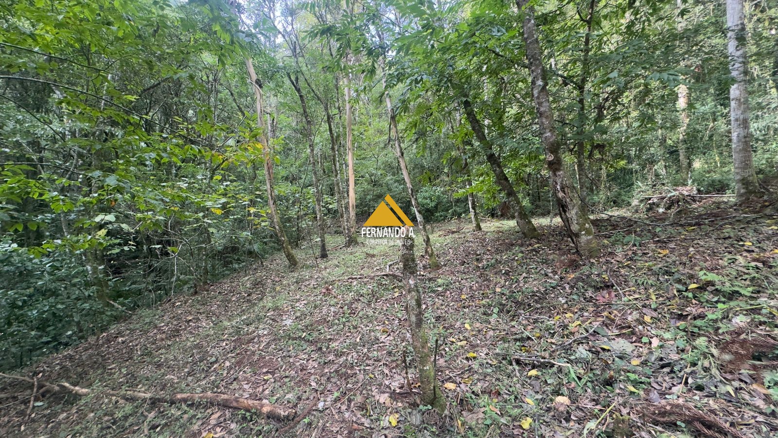 Sítio / Chácara 3 quartos para Venda no bairro Zona Rural em Gramado