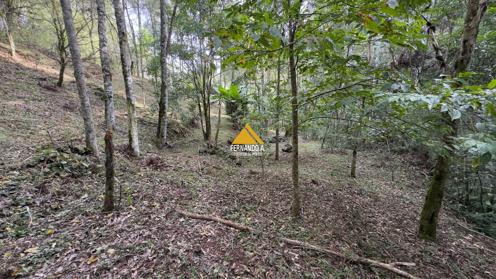 Sítio / Chácara 3 quartos para Venda no bairro Zona Rural em Gramado