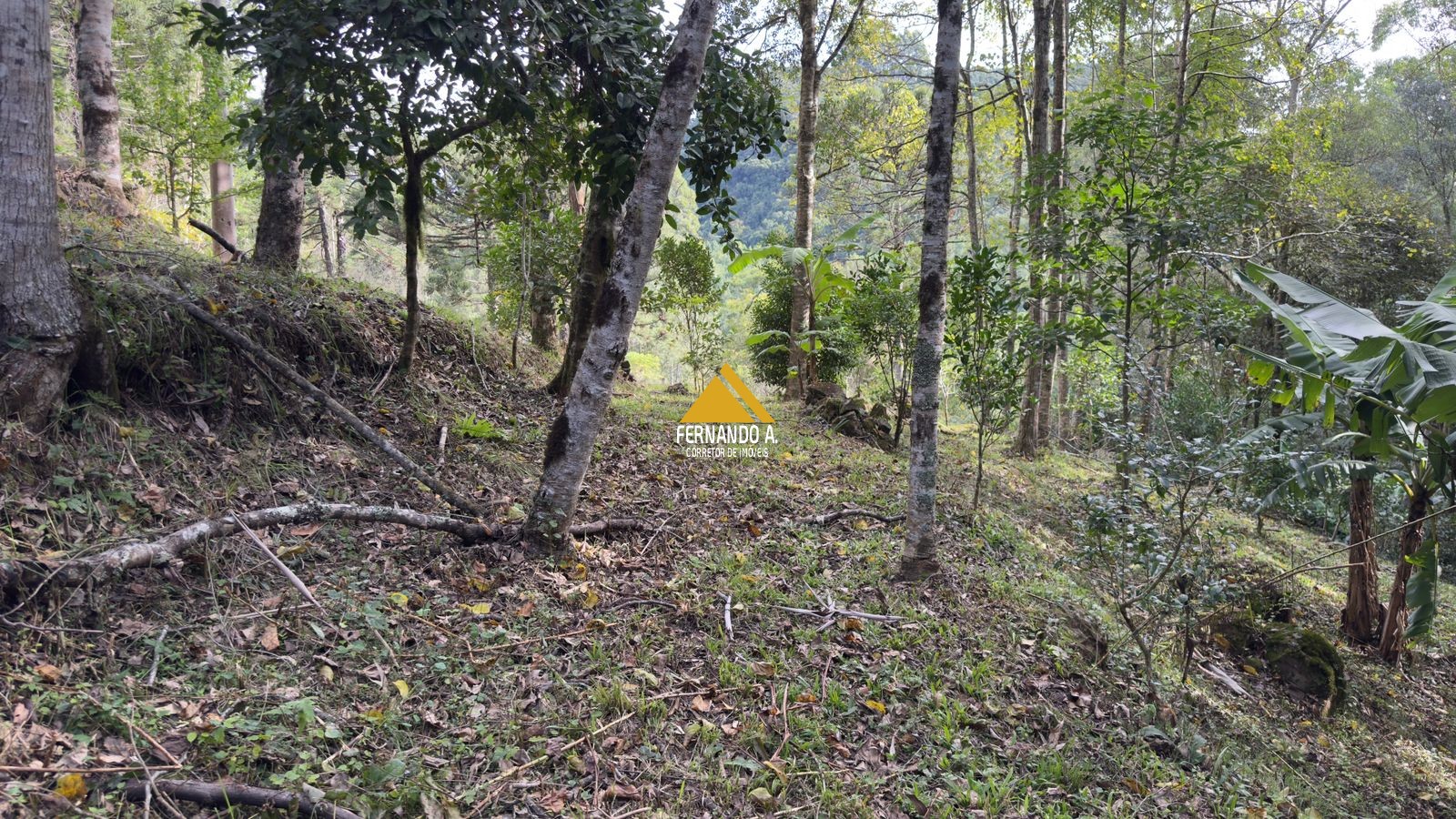 Sítio / Chácara 3 quartos para Venda no bairro Zona Rural em Gramado