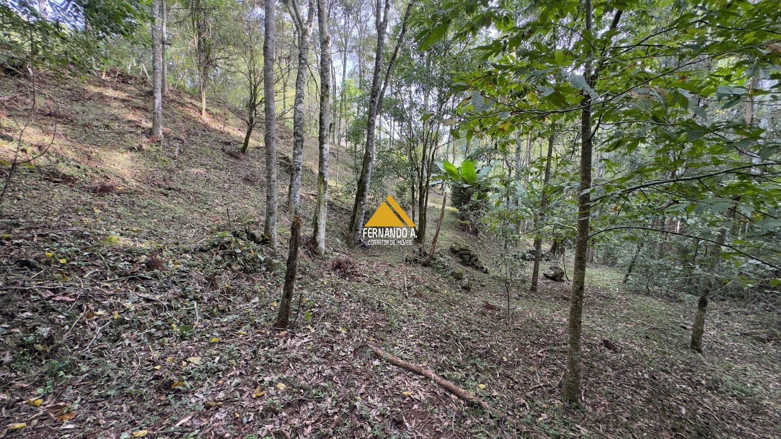 Sítio / Chácara 3 quartos para Venda no bairro Zona Rural em Gramado