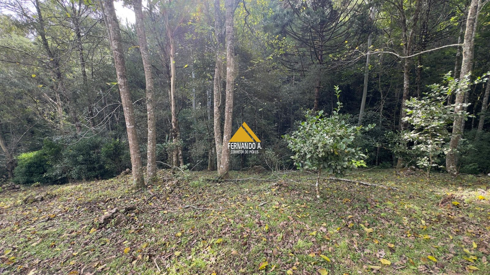 Sítio / Chácara 3 quartos para Venda no bairro Zona Rural em Gramado