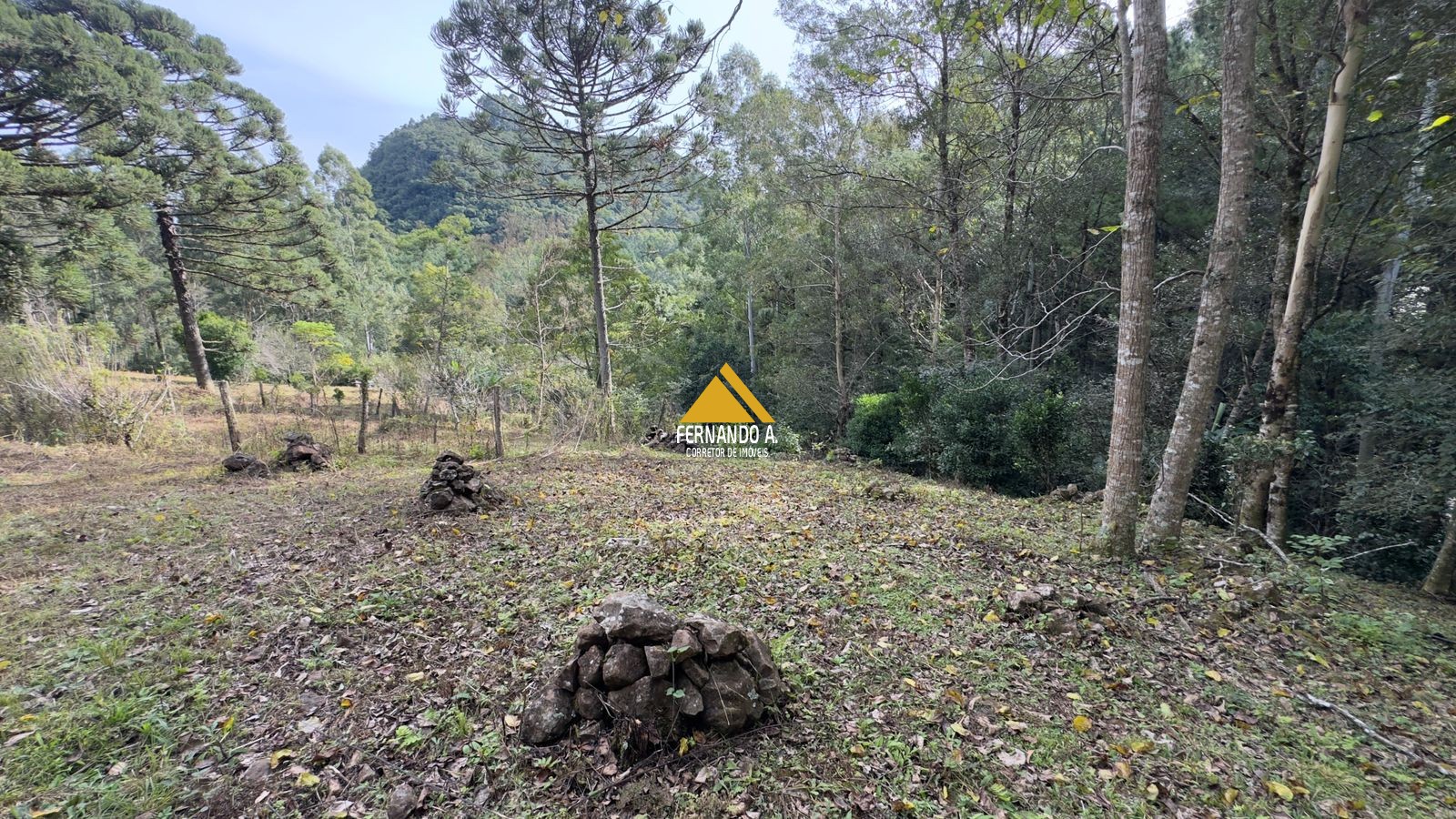 Sítio / Chácara 3 quartos para Venda no bairro Zona Rural em Gramado