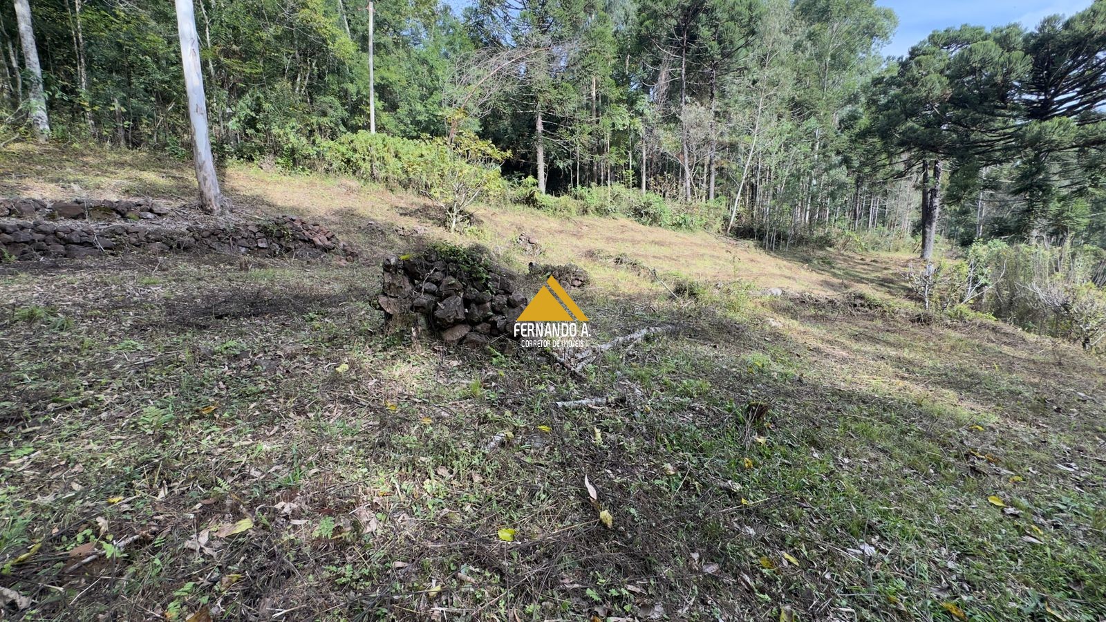 Sítio / Chácara 3 quartos para Venda no bairro Zona Rural em Gramado