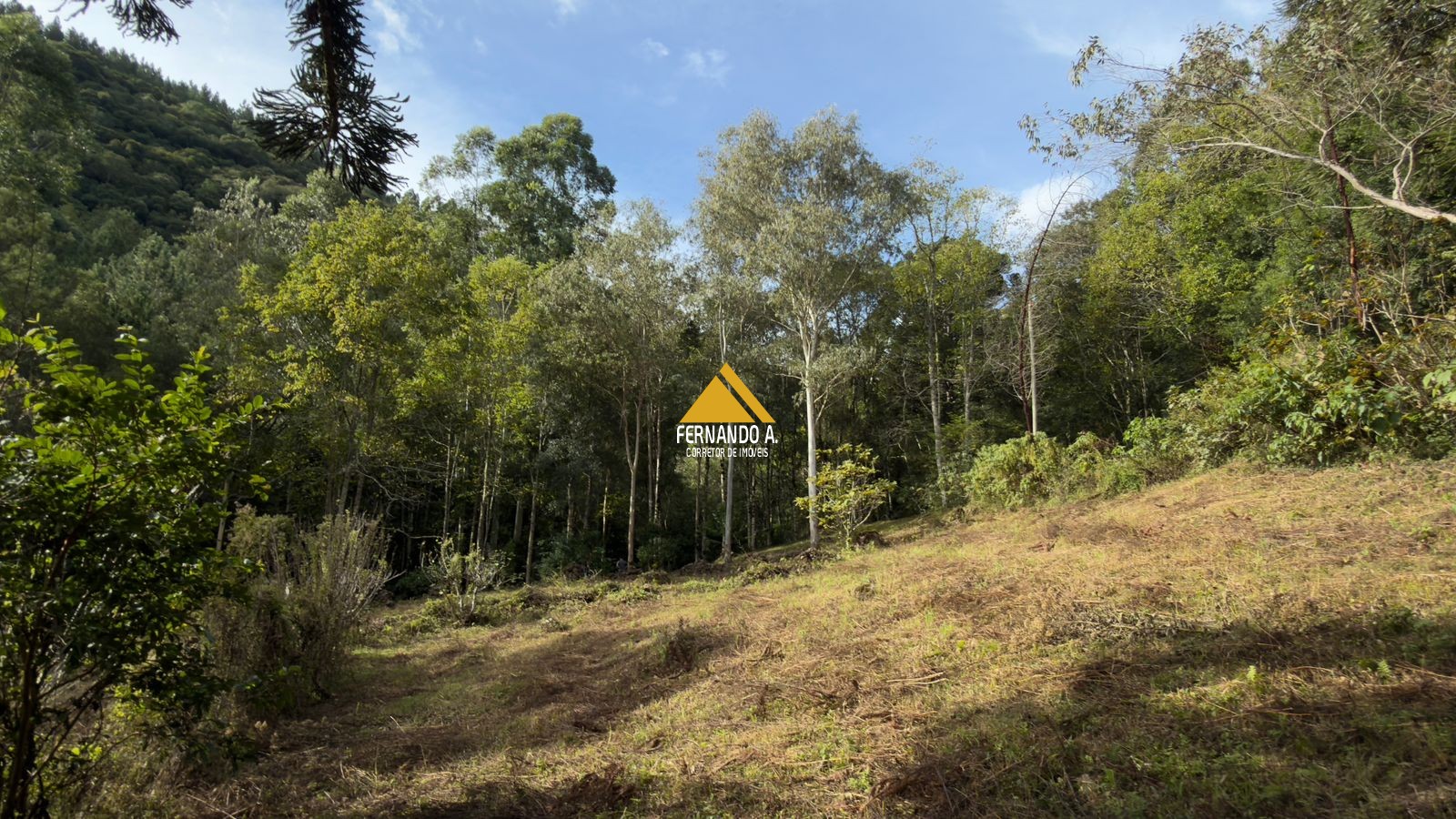 Sítio / Chácara 3 quartos para Venda no bairro Zona Rural em Gramado