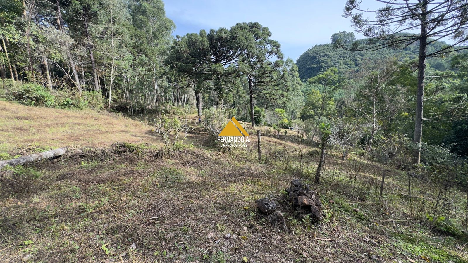 Sítio / Chácara 3 quartos para Venda no bairro Zona Rural em Gramado