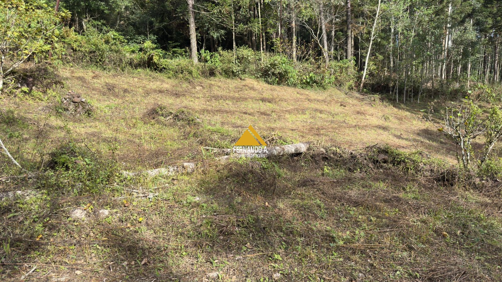 Sítio / Chácara 3 quartos para Venda no bairro Zona Rural em Gramado