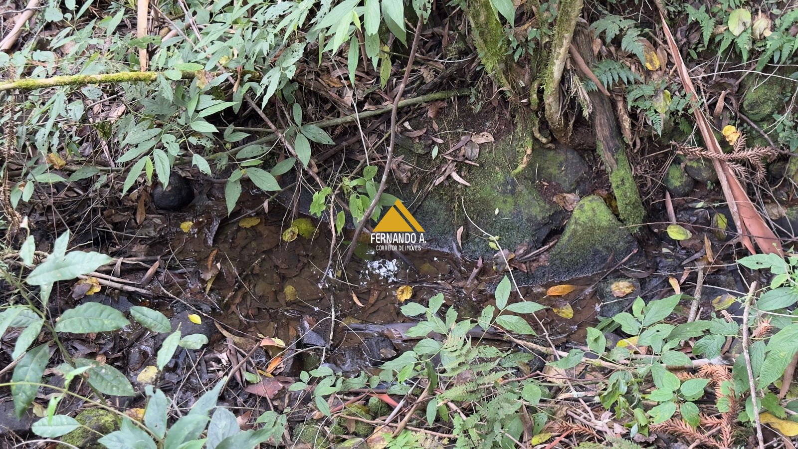 Sítio / Chácara 3 quartos para Venda no bairro Zona Rural em Gramado