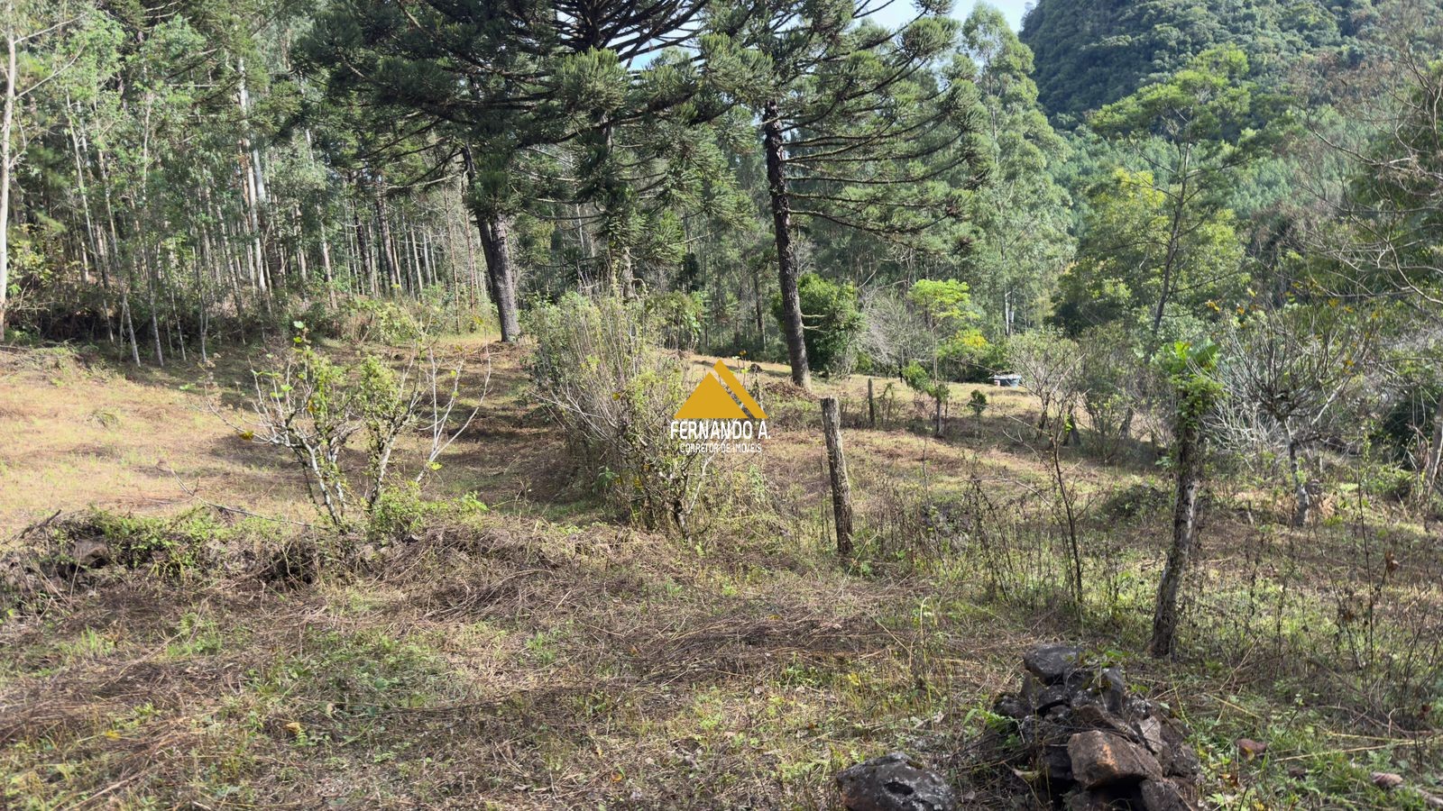 Sítio / Chácara 3 quartos para Venda no bairro Zona Rural em Gramado