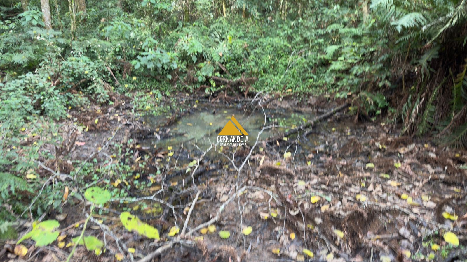 Sítio / Chácara 3 quartos para Venda no bairro Zona Rural em Gramado