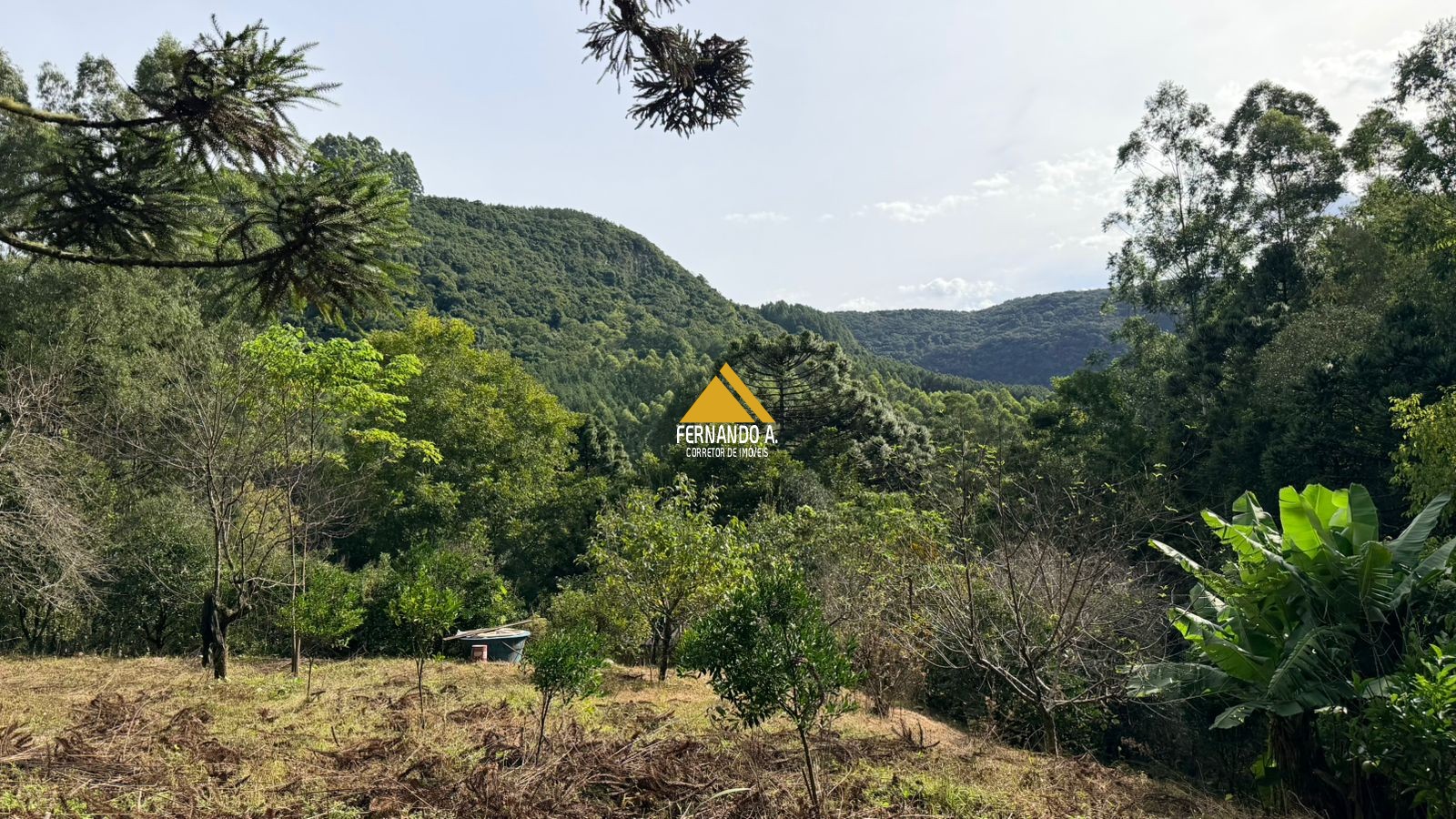 Sítio / Chácara 3 quartos para Venda no bairro Zona Rural em Gramado