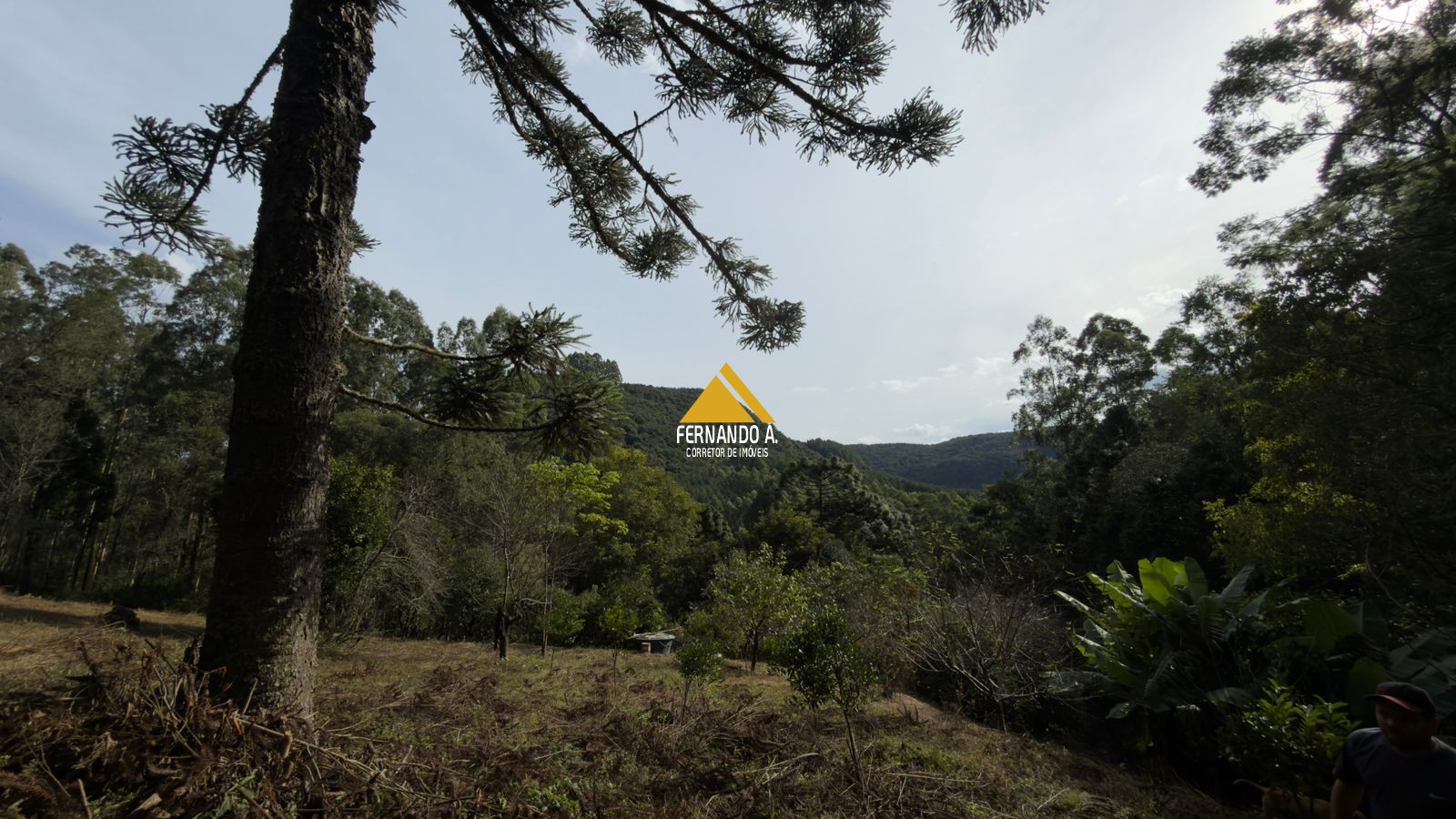 Sítio / Chácara 3 quartos para Venda no bairro Zona Rural em Gramado