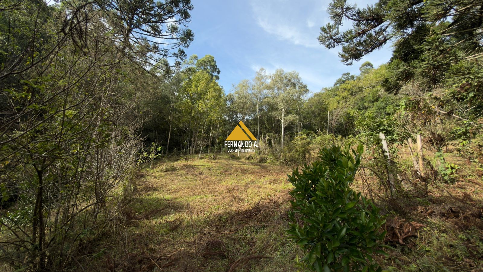 Sítio / Chácara 3 quartos para Venda no bairro Zona Rural em Gramado