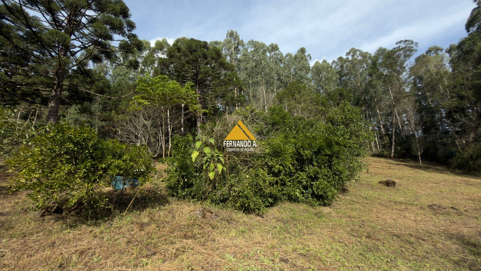 Sítio / Chácara 3 quartos para Venda no bairro Zona Rural em Gramado