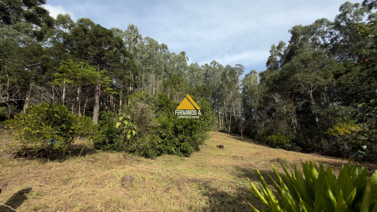 Sítio / Chácara 3 quartos para Venda no bairro Zona Rural em Gramado