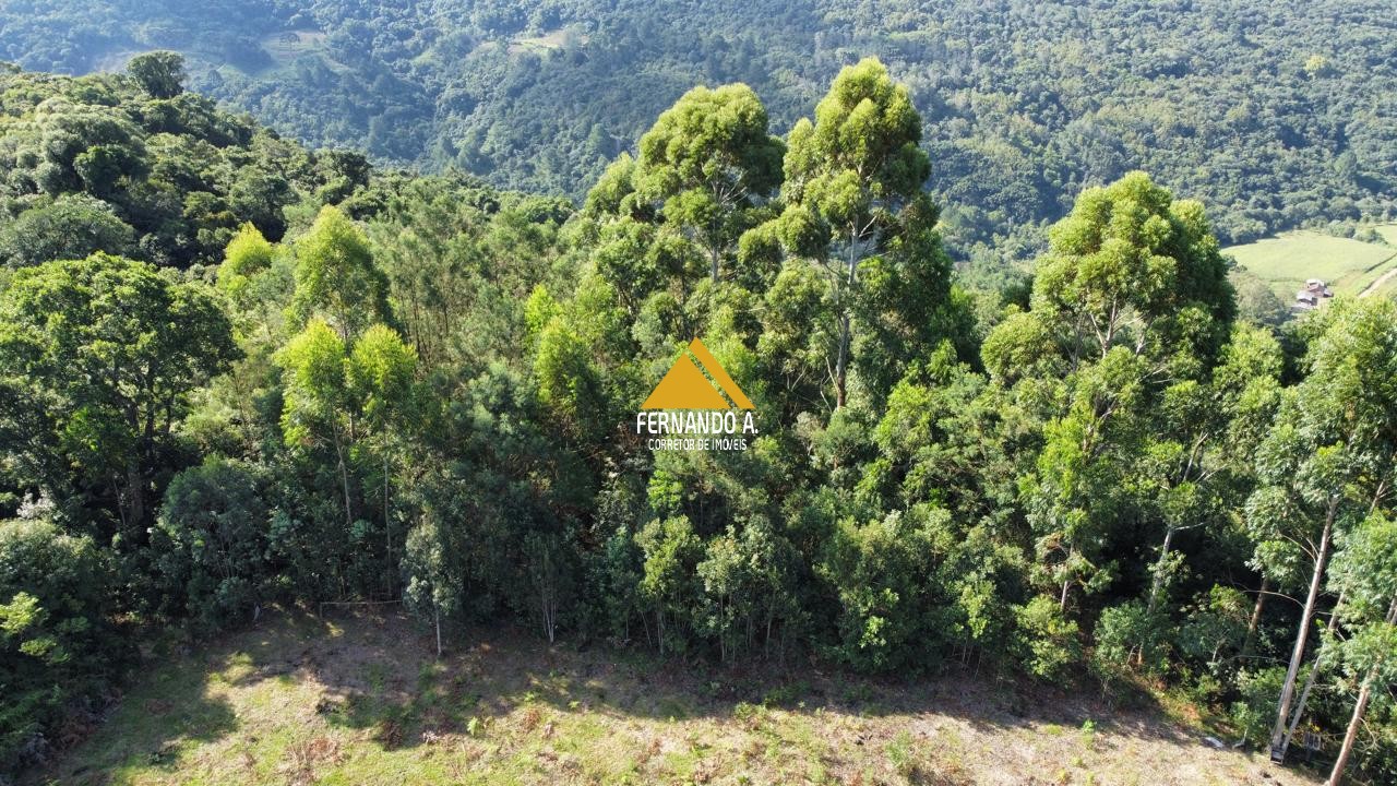 Sítio 3 Hectares na Serra Grande – Vista Panorâmica, Açude e Próximo ao Paradouro das Nuvens