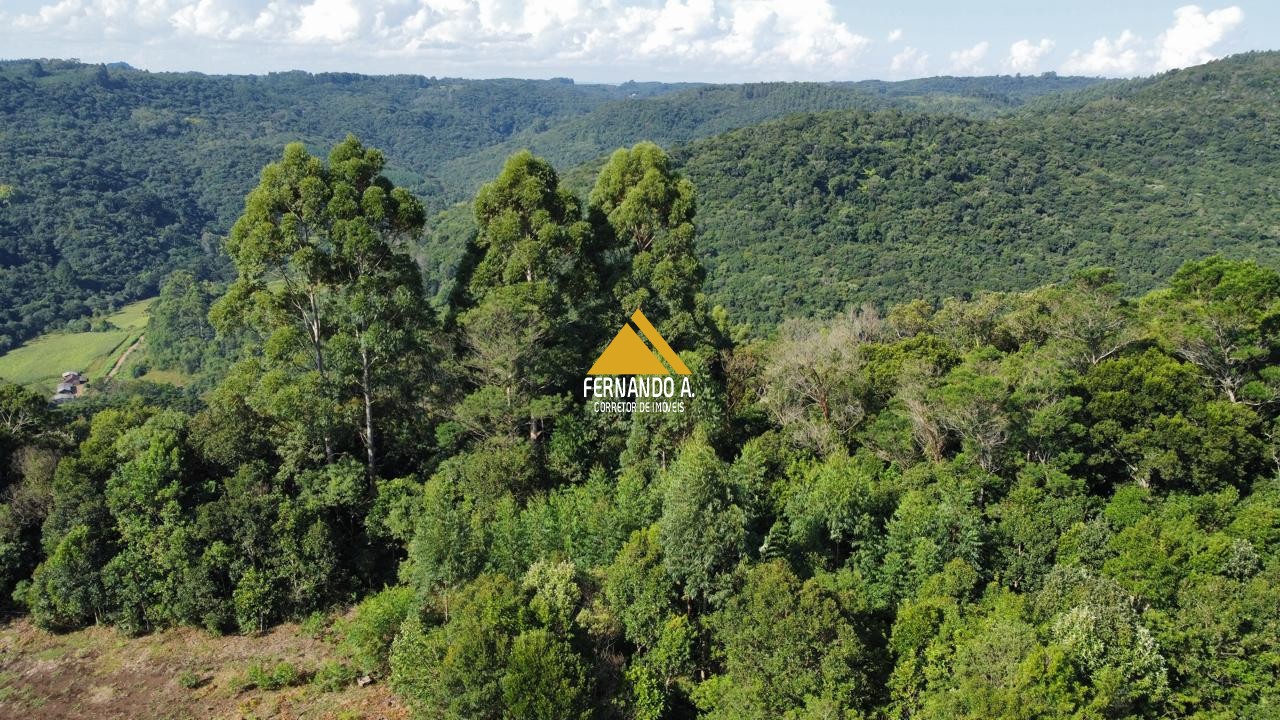 Sítio 3 Hectares na Serra Grande – Vista Panorâmica, Açude e Próximo ao Paradouro das Nuvens