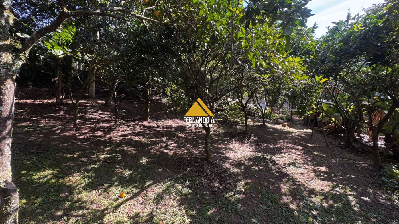 Sítio / Chácara 1 quarto para Venda no bairro Quatro Colônias em Campo Bom