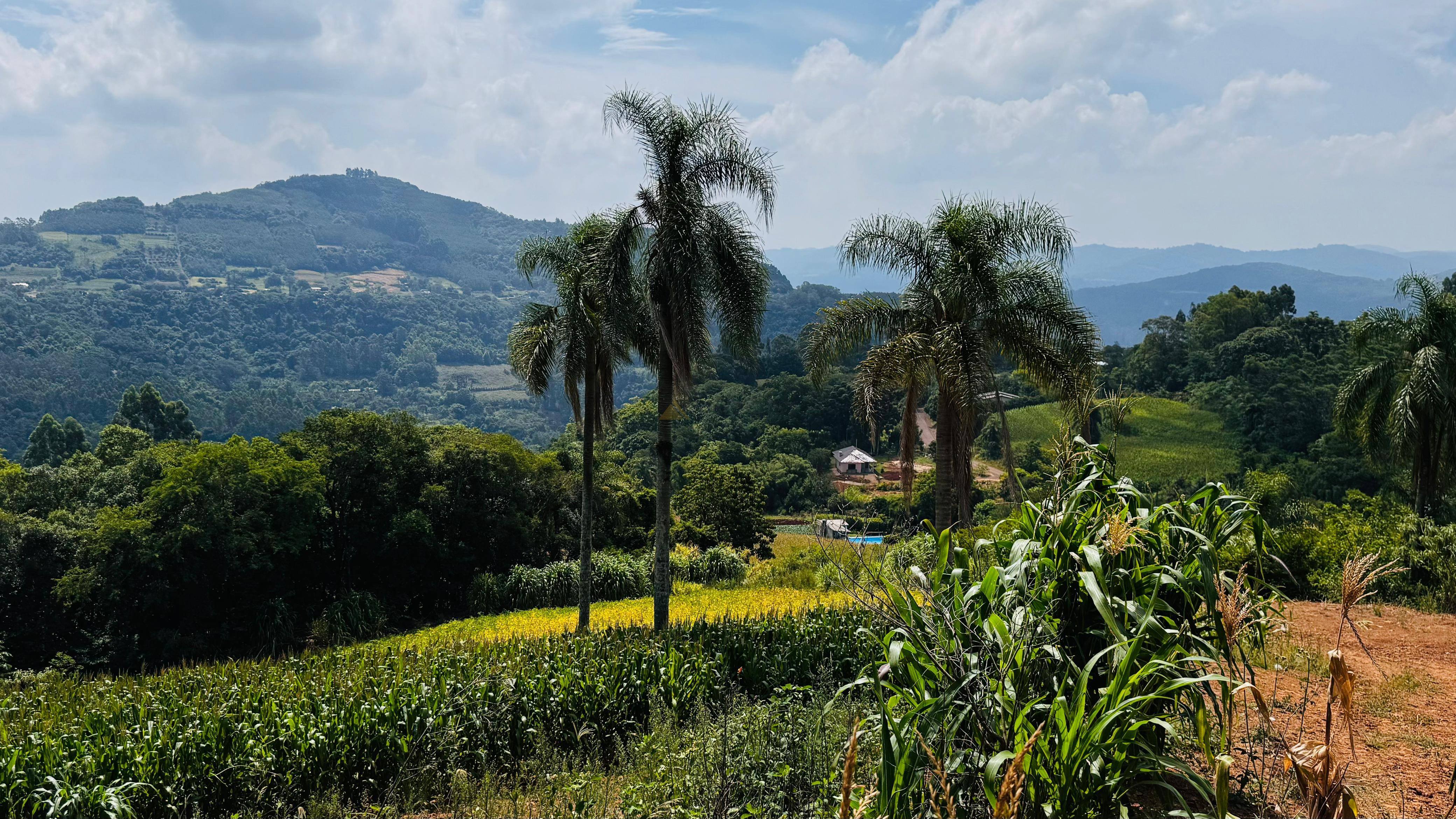 Sítio / Chácara para Venda no bairro Linha Quatro Cantos em Morro Reuter