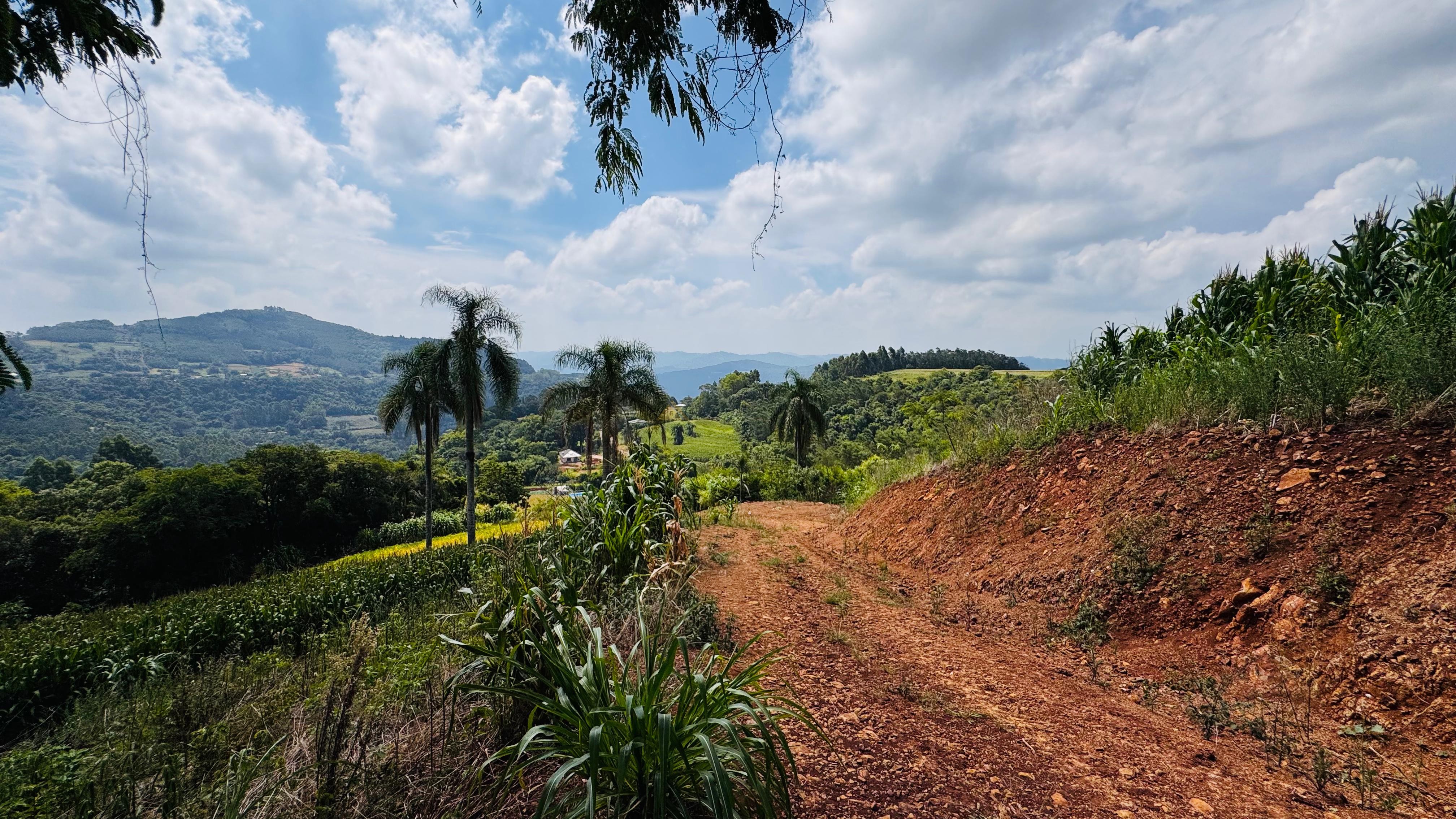 Sítio / Chácara para Venda no bairro Linha Quatro Cantos em Morro Reuter