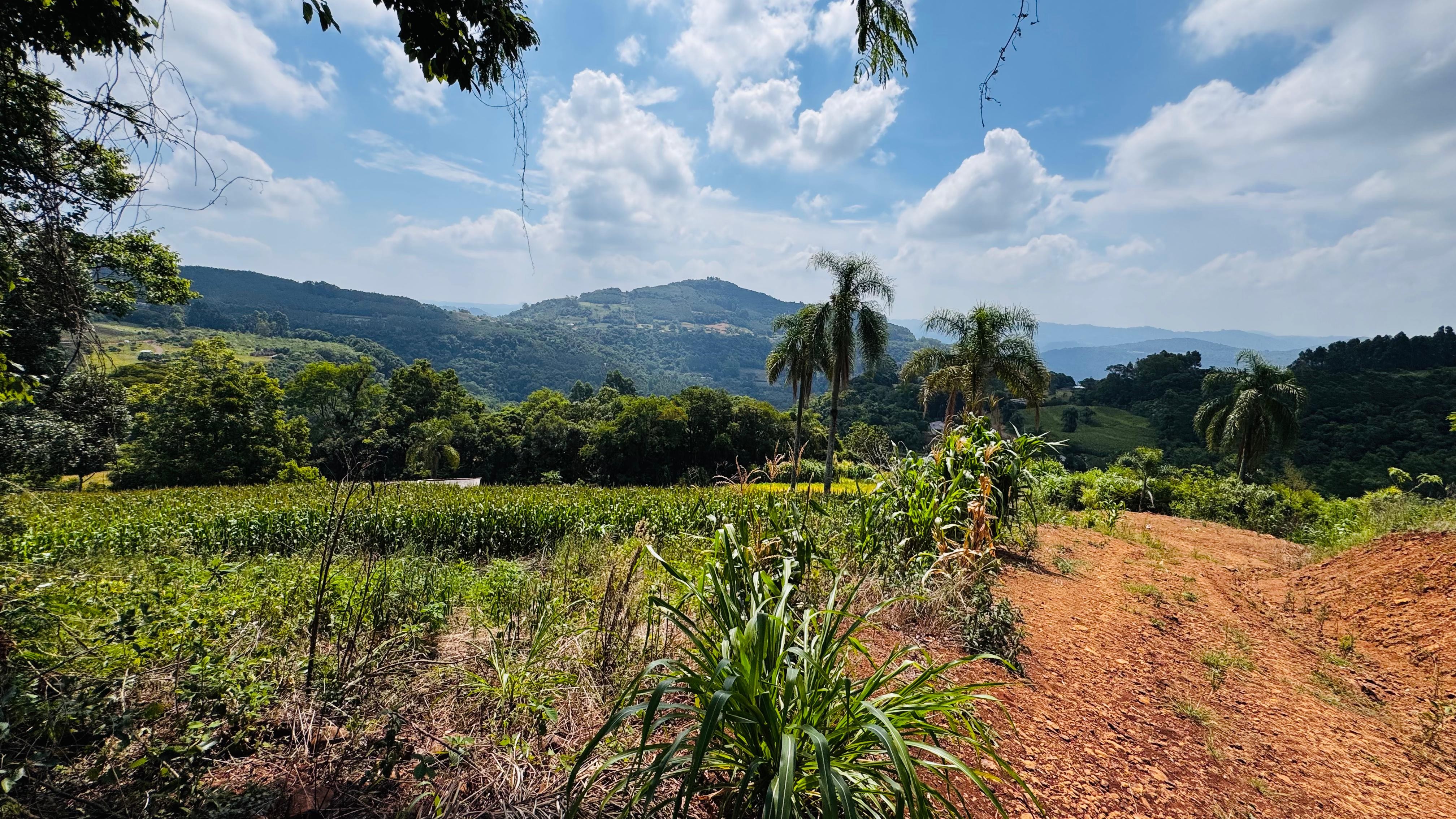Sítio / Chácara para Venda no bairro Linha Quatro Cantos em Morro Reuter