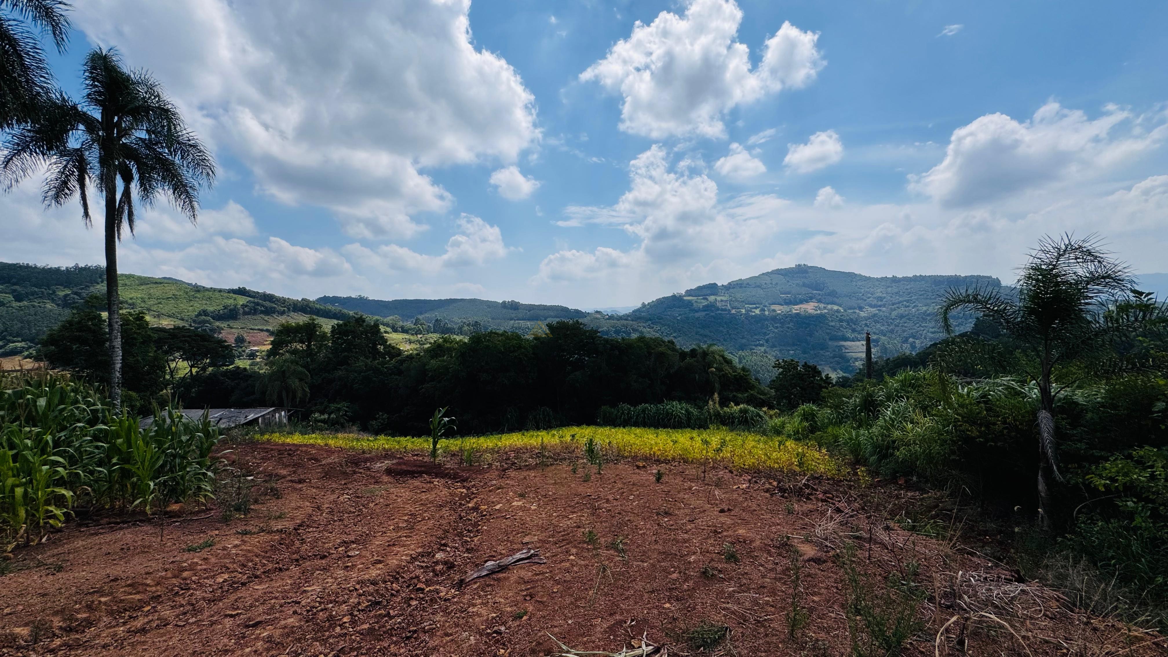 Sítio / Chácara para Venda no bairro Linha Quatro Cantos em Morro Reuter