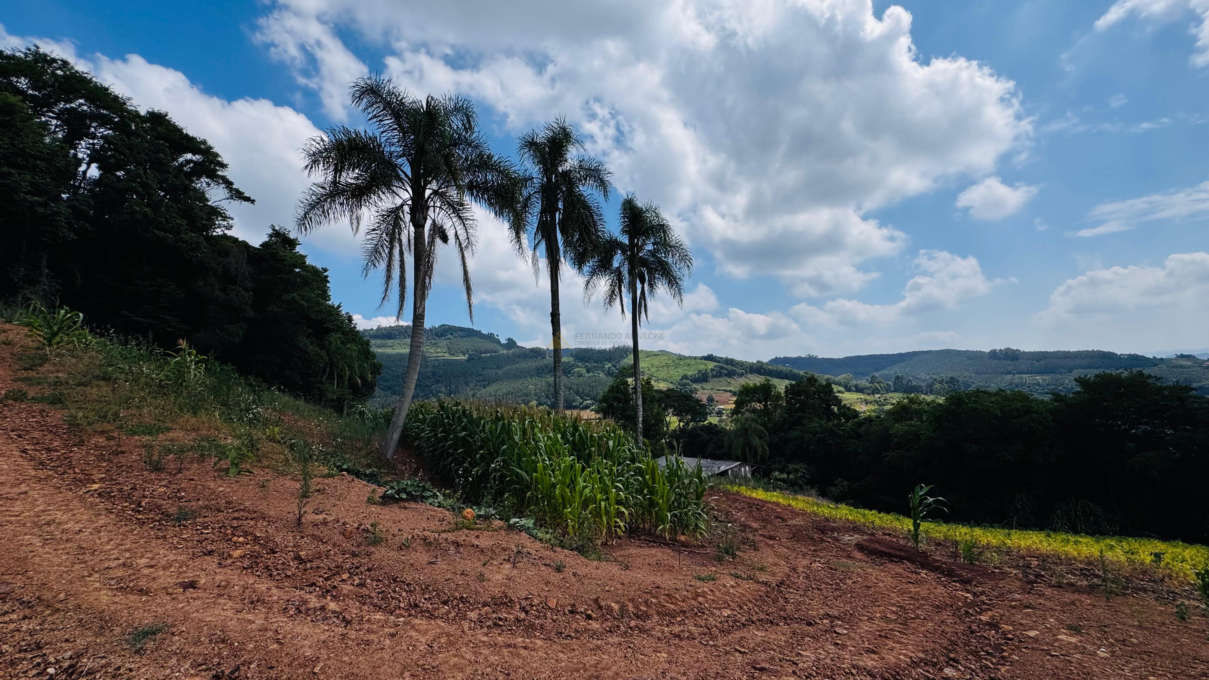 Sítio / Chácara para Venda no bairro Linha Quatro Cantos em Morro Reuter