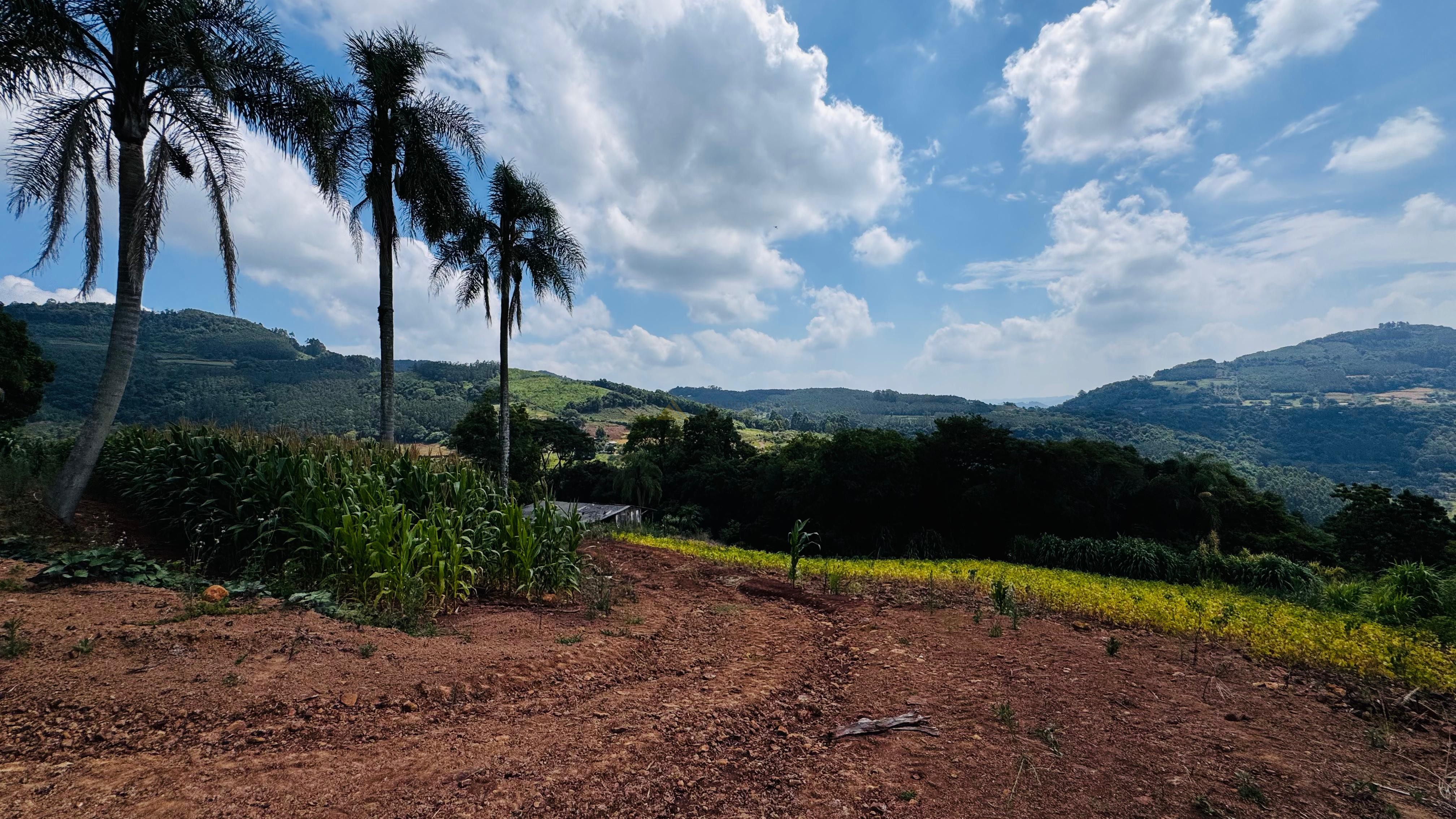 Sítio / Chácara para Venda no bairro Linha Quatro Cantos em Morro Reuter
