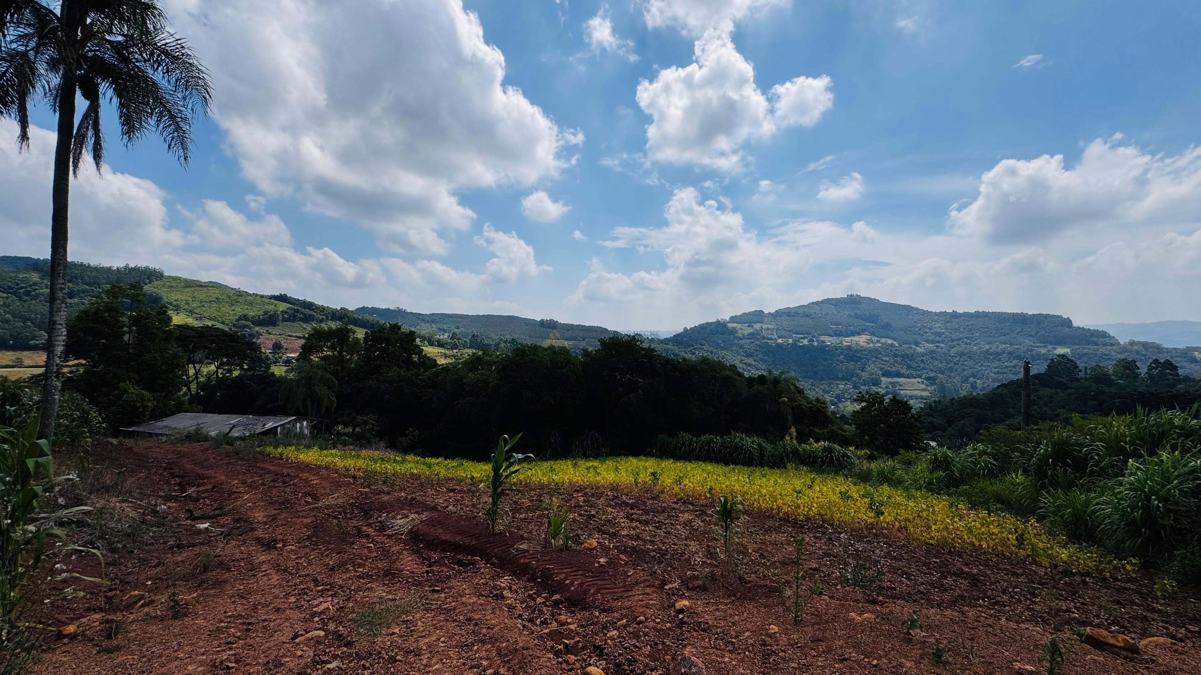 Sítio / Chácara para Venda no bairro Linha Quatro Cantos em Morro Reuter