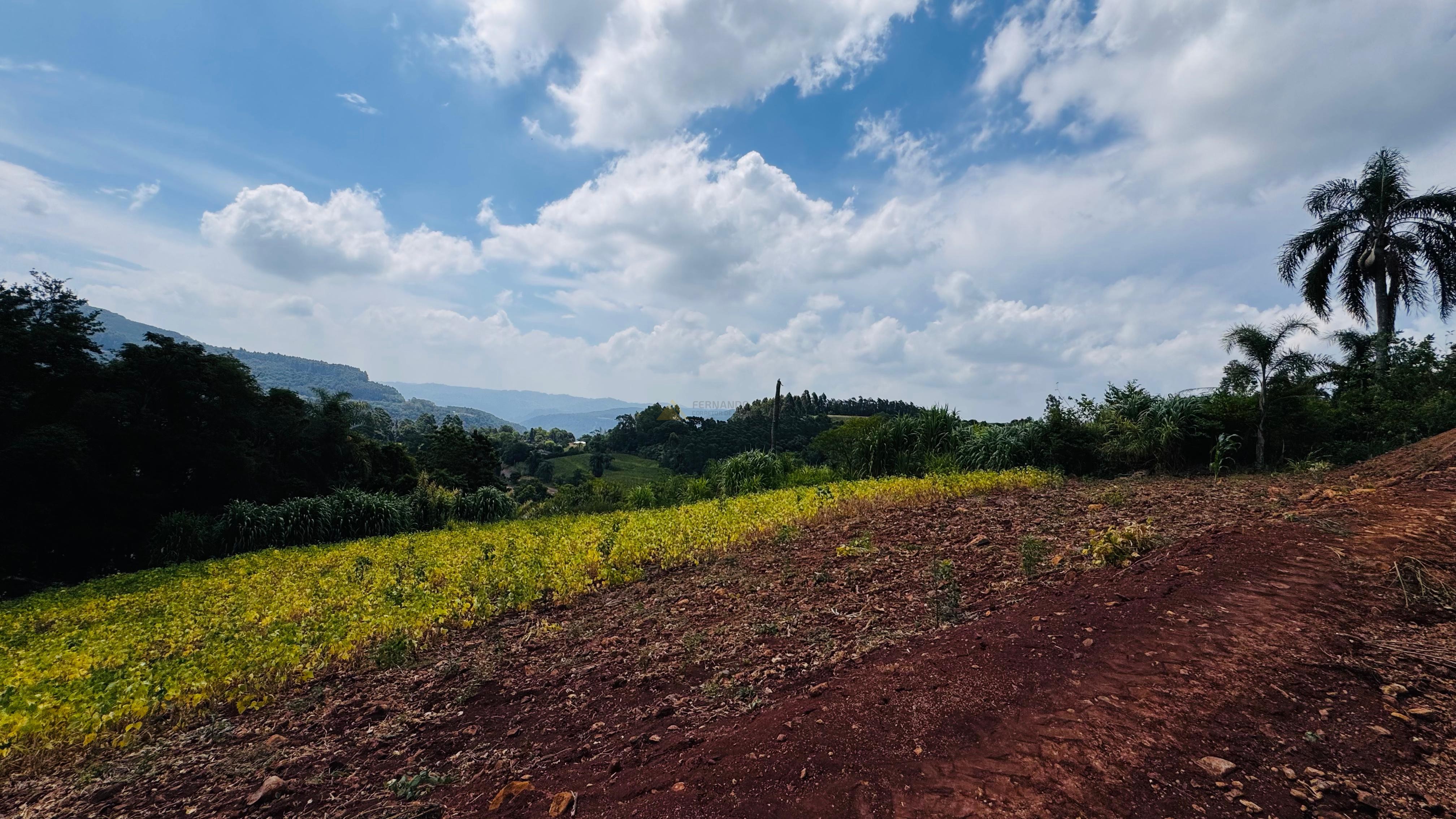 Sítio / Chácara para Venda no bairro Linha Quatro Cantos em Morro Reuter