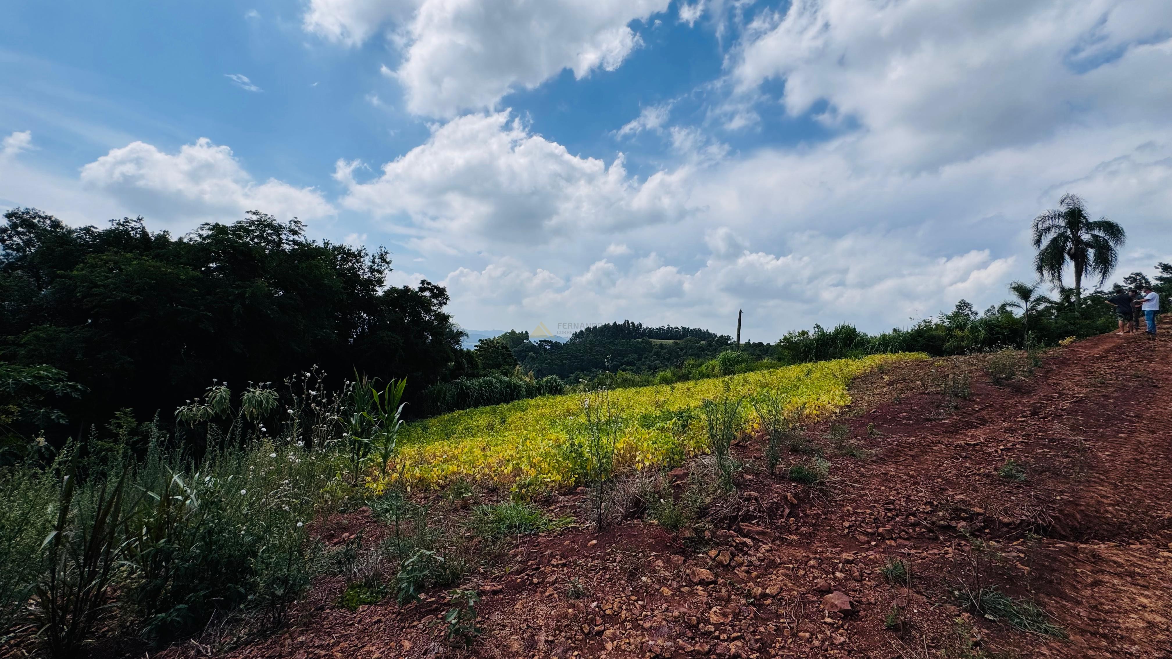 Sítio / Chácara para Venda no bairro Linha Quatro Cantos em Morro Reuter