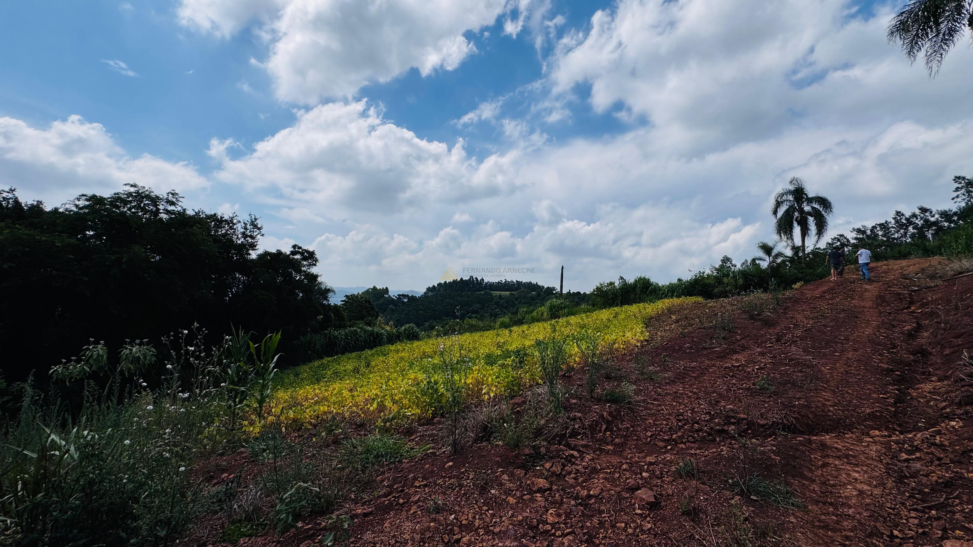 Sítio / Chácara para Venda no bairro Linha Quatro Cantos em Morro Reuter