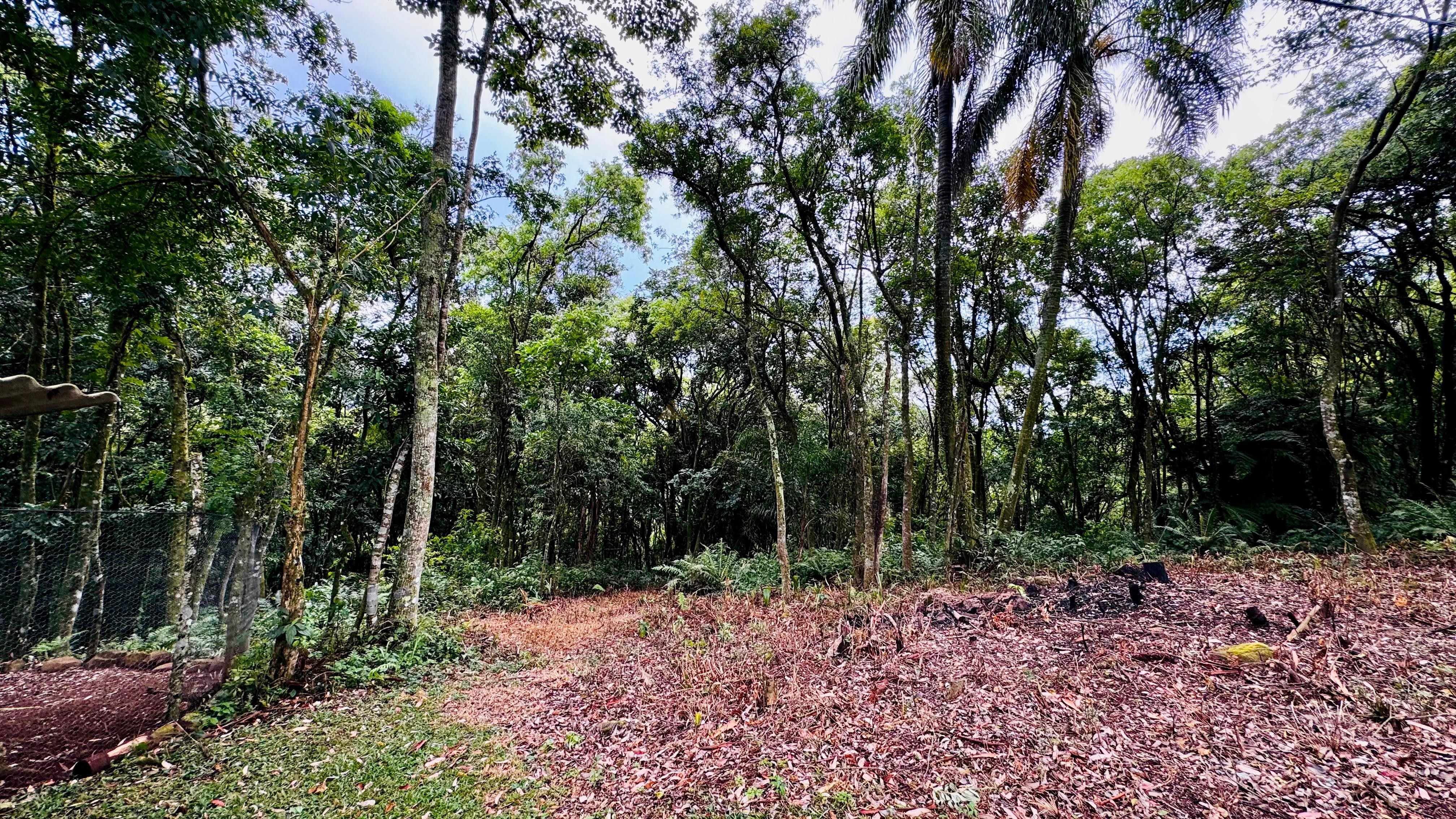 Sítio / Chácara 2 quartos para Venda no bairro Padre Eterno Ilges em Santa Maria do Herval