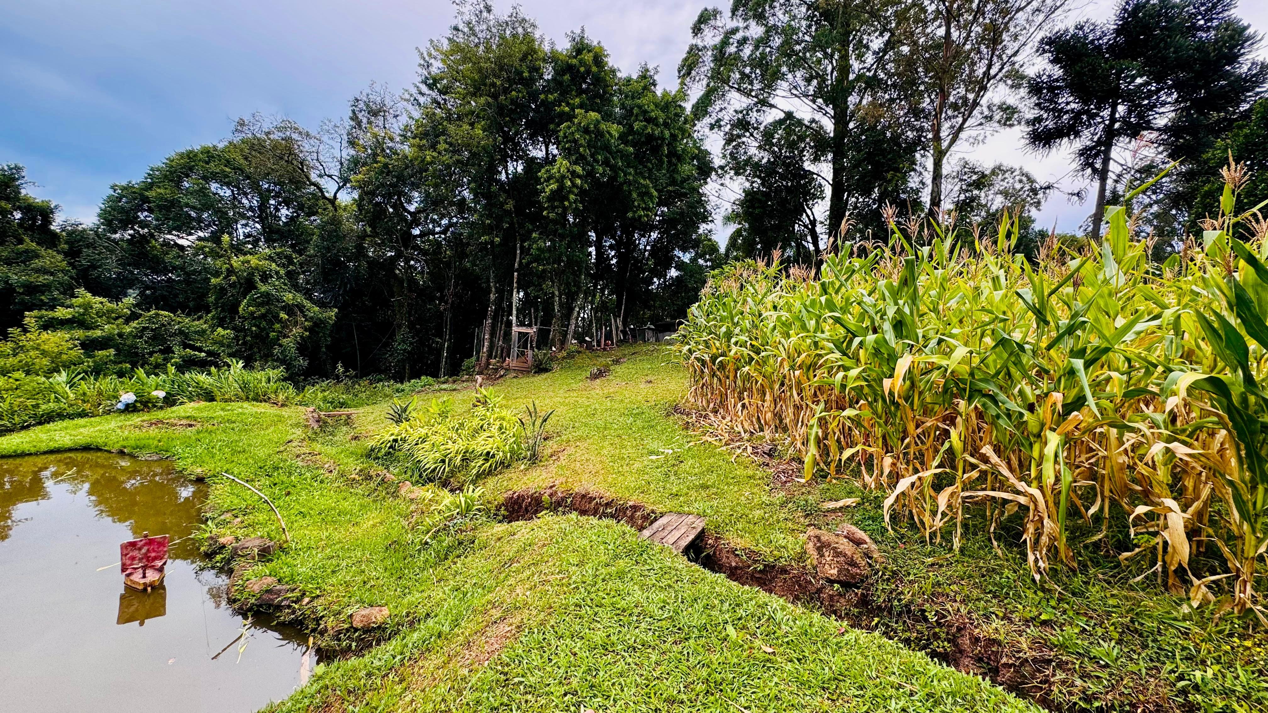Sítio / Chácara 2 quartos para Venda no bairro Padre Eterno Ilges em Santa Maria do Herval