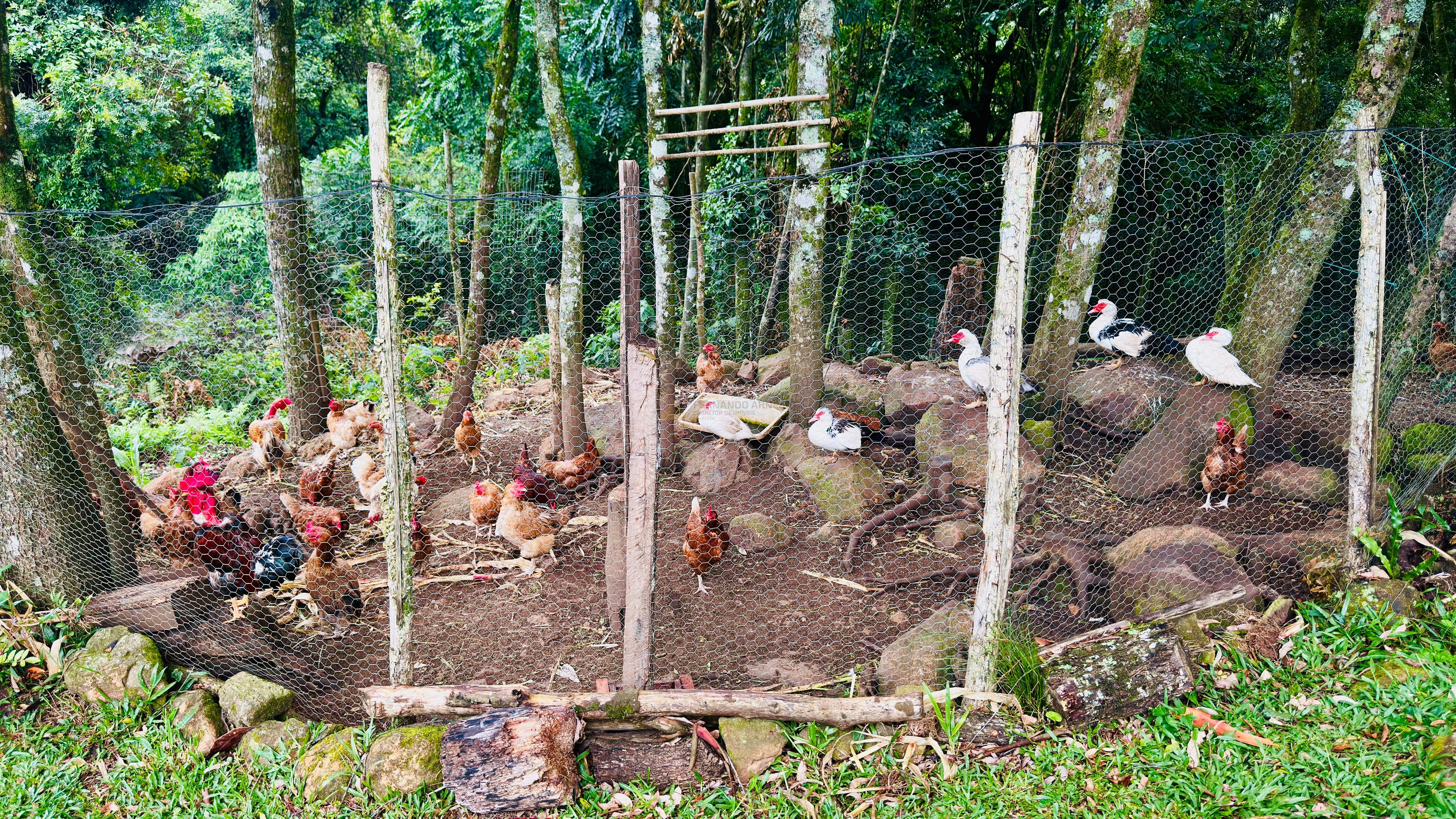 Sítio / Chácara 2 quartos para Venda no bairro Padre Eterno Ilges em Santa Maria do Herval