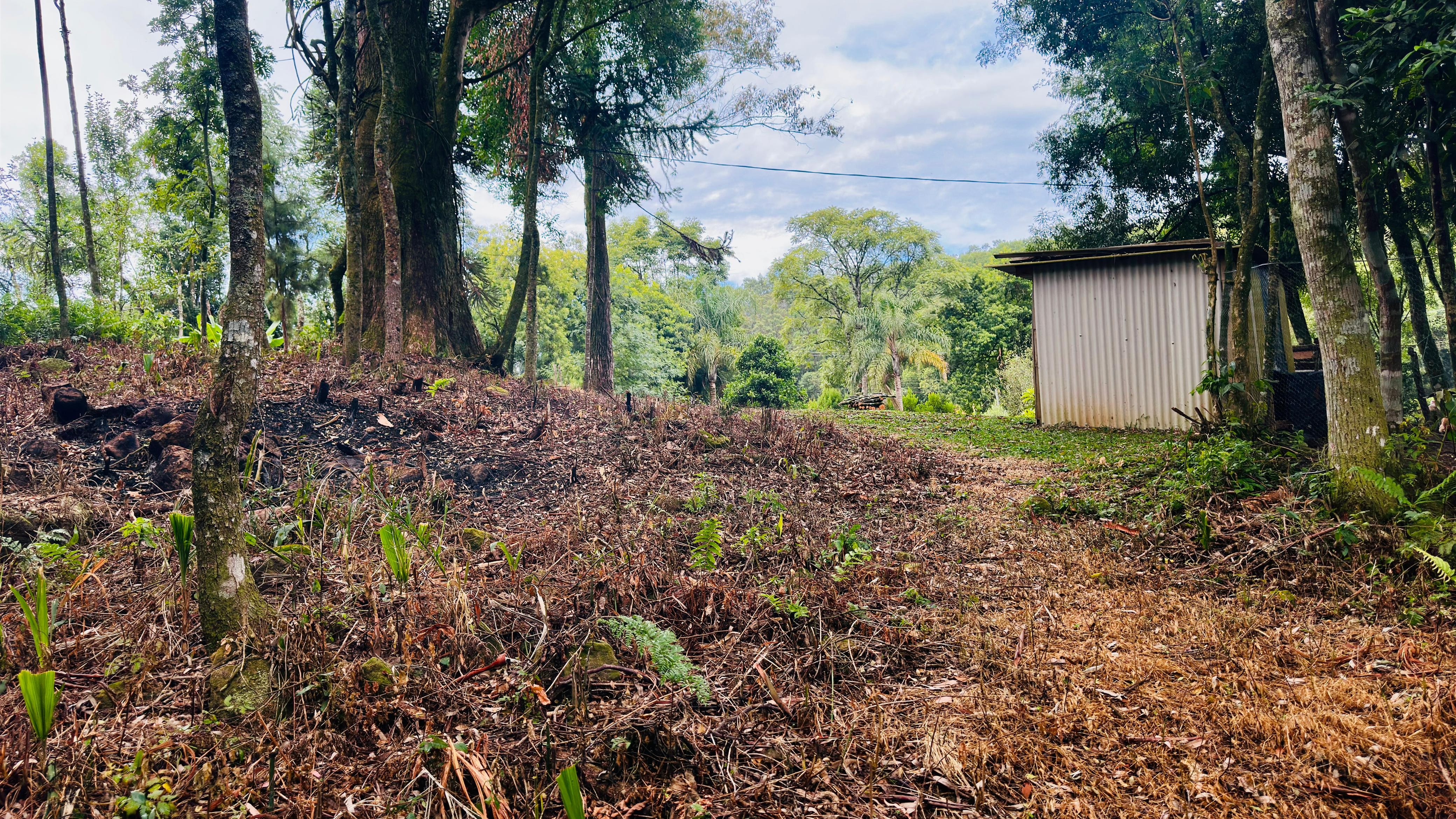 Sítio / Chácara 2 quartos para Venda no bairro Padre Eterno Ilges em Santa Maria do Herval